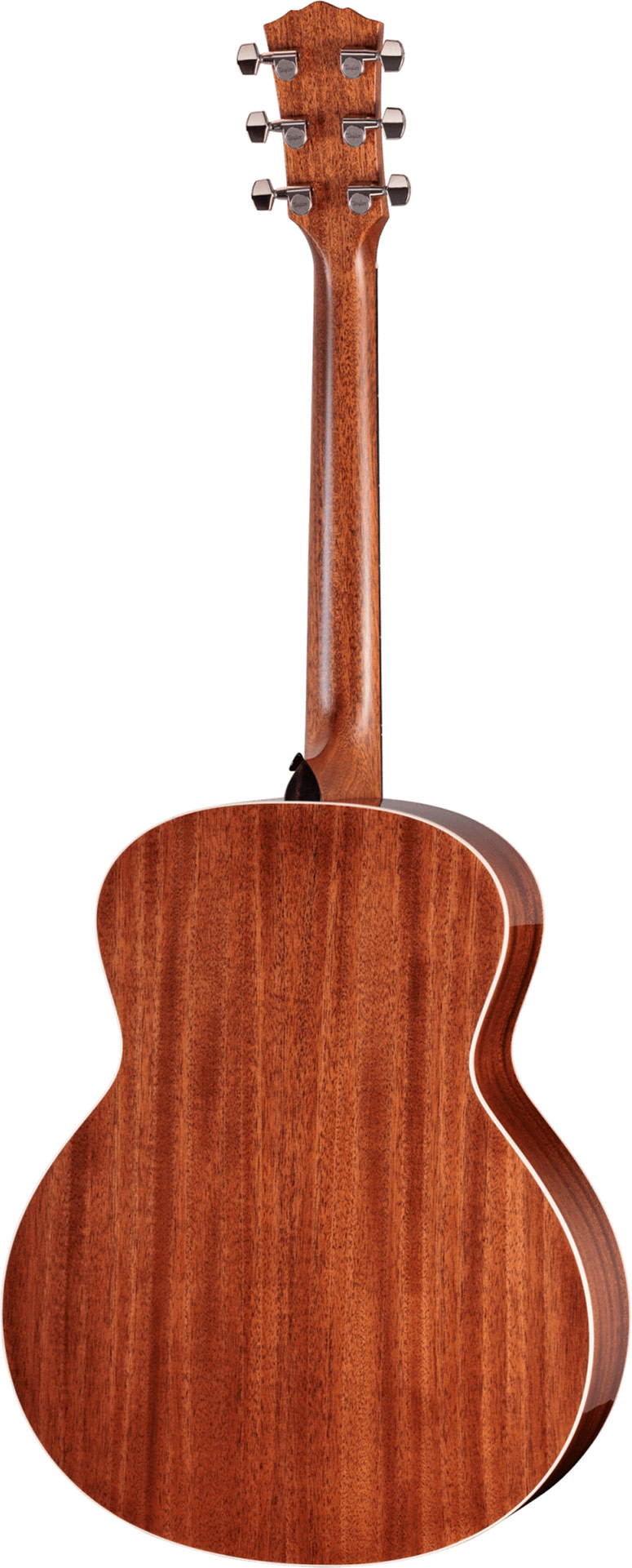 Taylor Gold Label 514e SB Cream Pickguard Super Auditorium