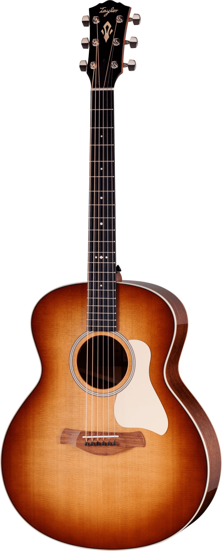 Taylor Gold Label 514e SB Cream Pickguard Super Auditorium