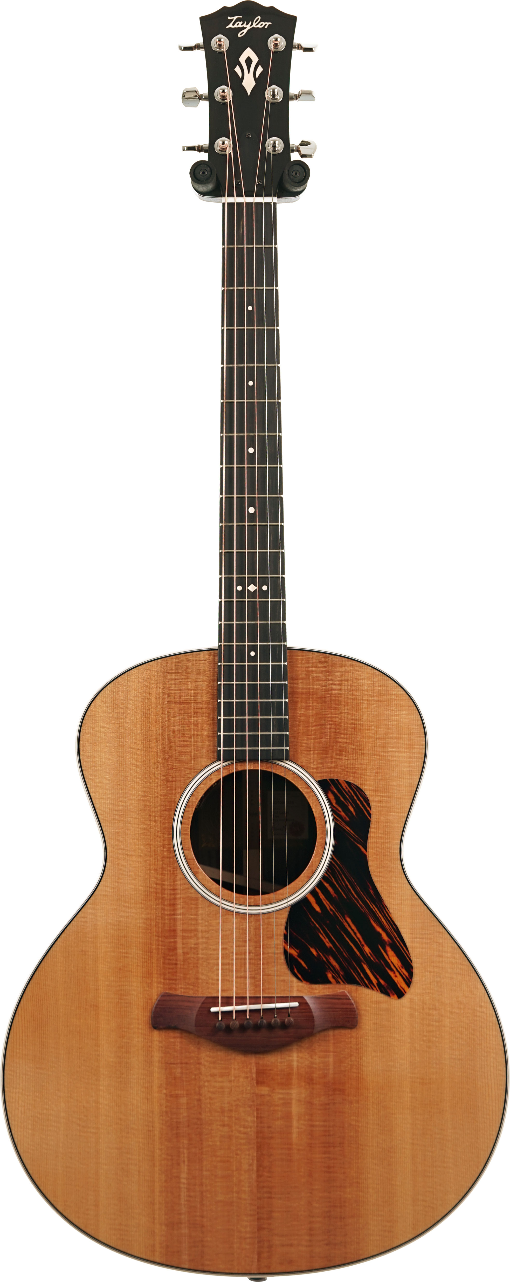 Taylor Gold Label 714e Super Auditorium (Nearly New) #1207095016