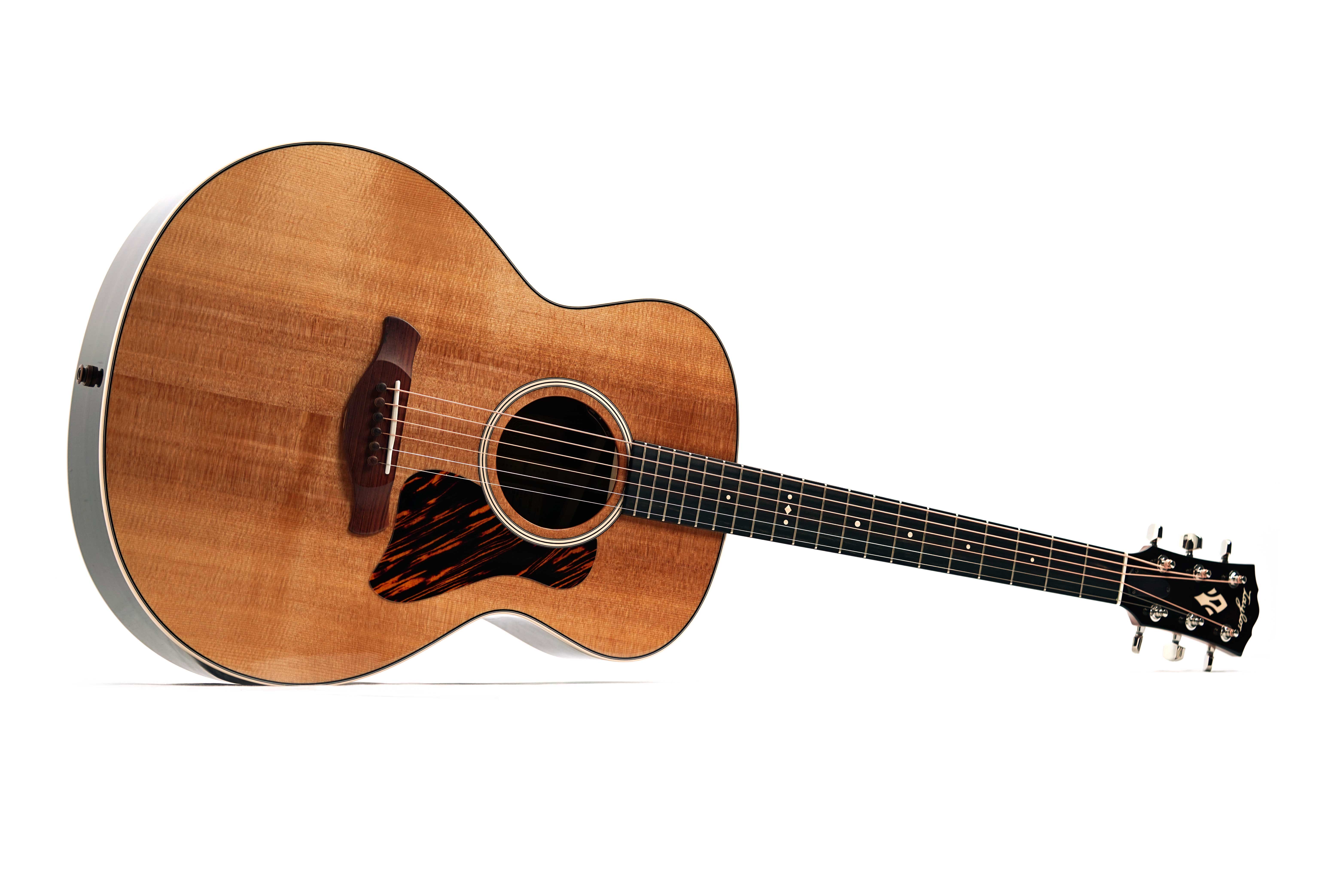 Taylor Gold Label 714e Super Auditorium (Nearly New) #1207095016