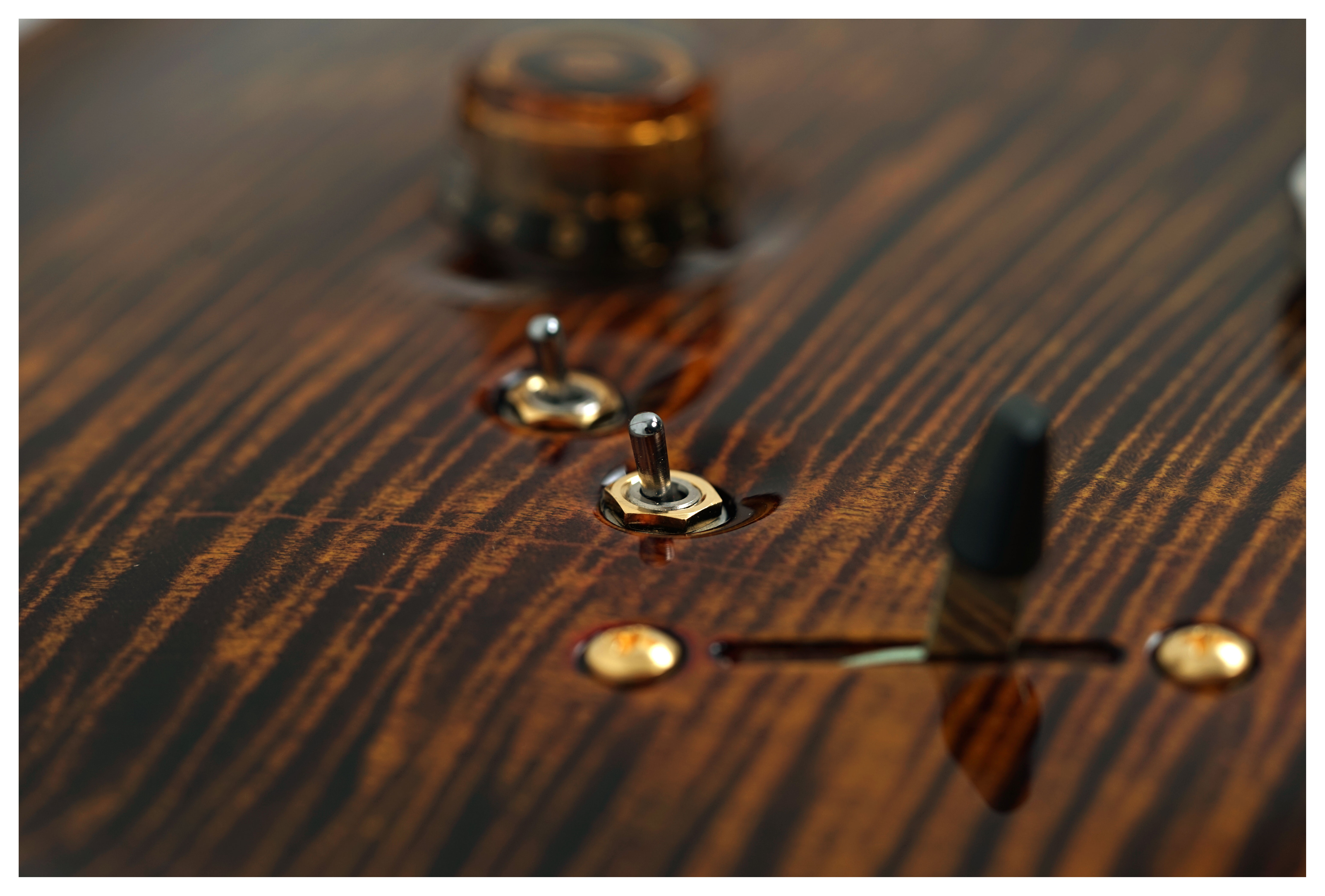 PRS 40th Anniversary Special Semi-Hollow Limited Edition Yellow Tiger #0413564