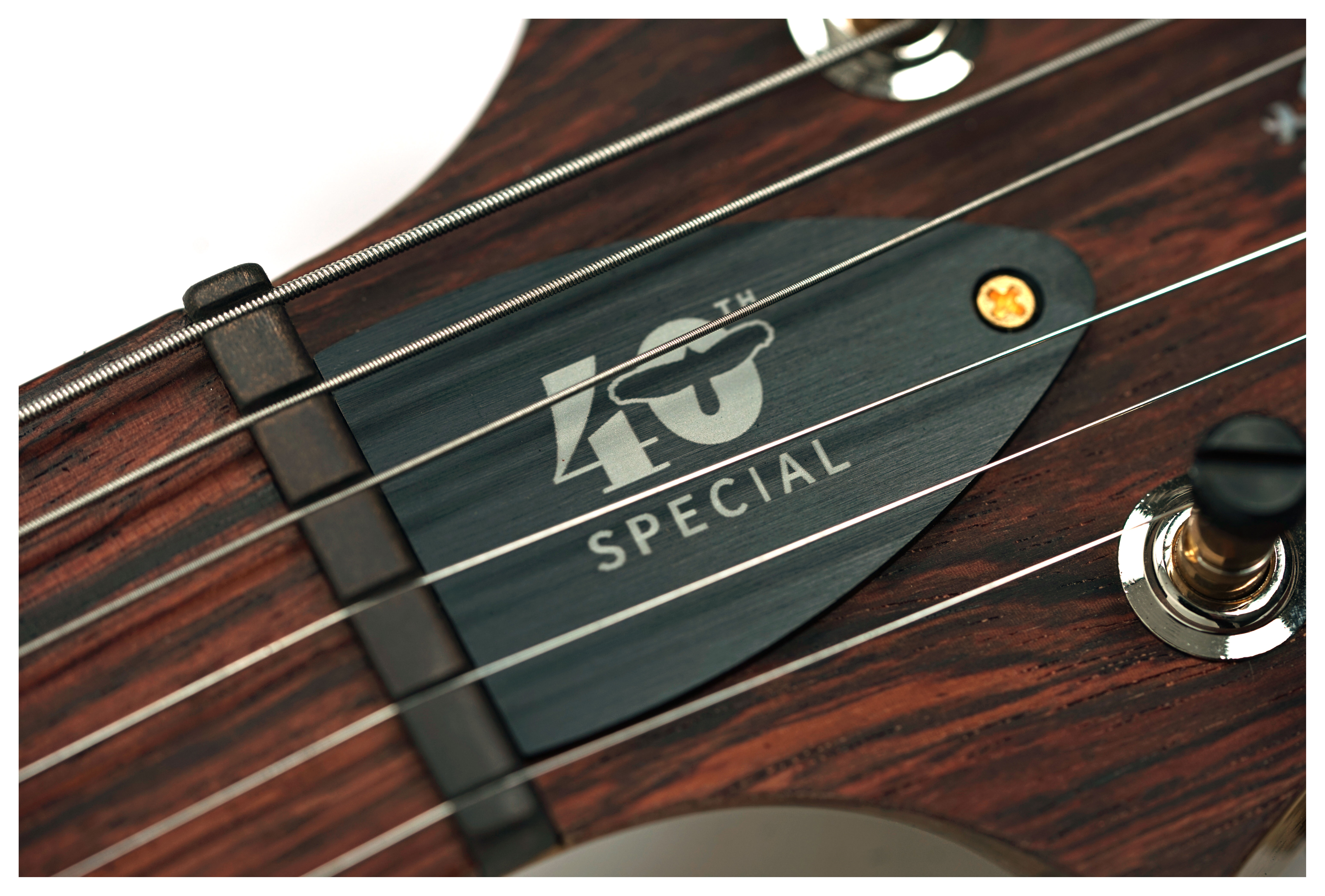 PRS 40th Anniversary Special Semi-Hollow Limited Edition Yellow Tiger #0413564