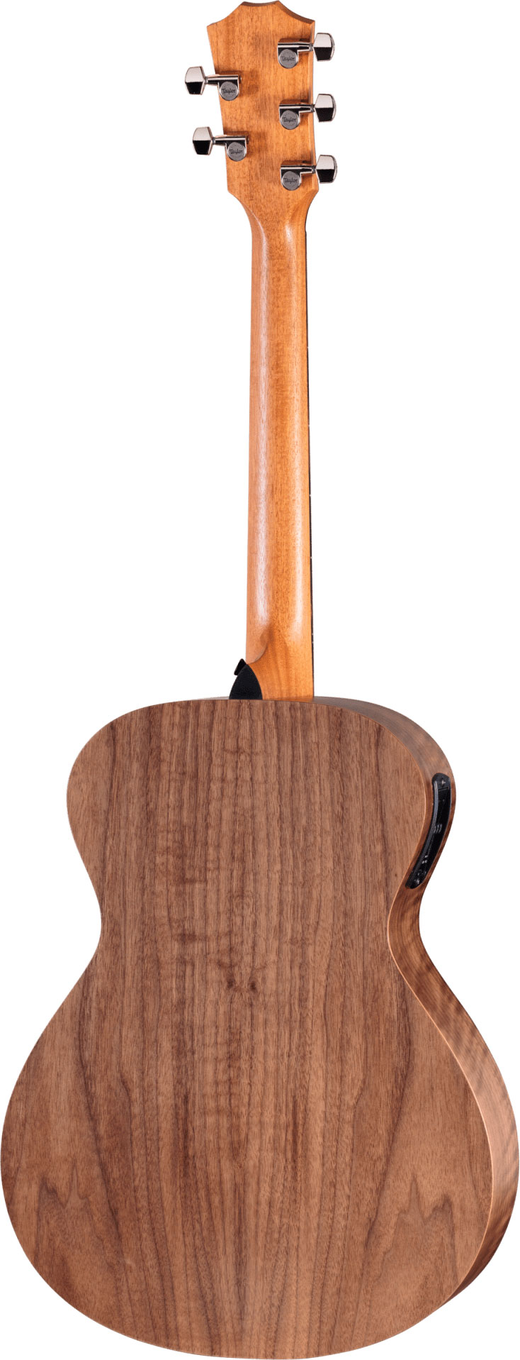 Taylor Jacob Collier Academy 22e 5-String