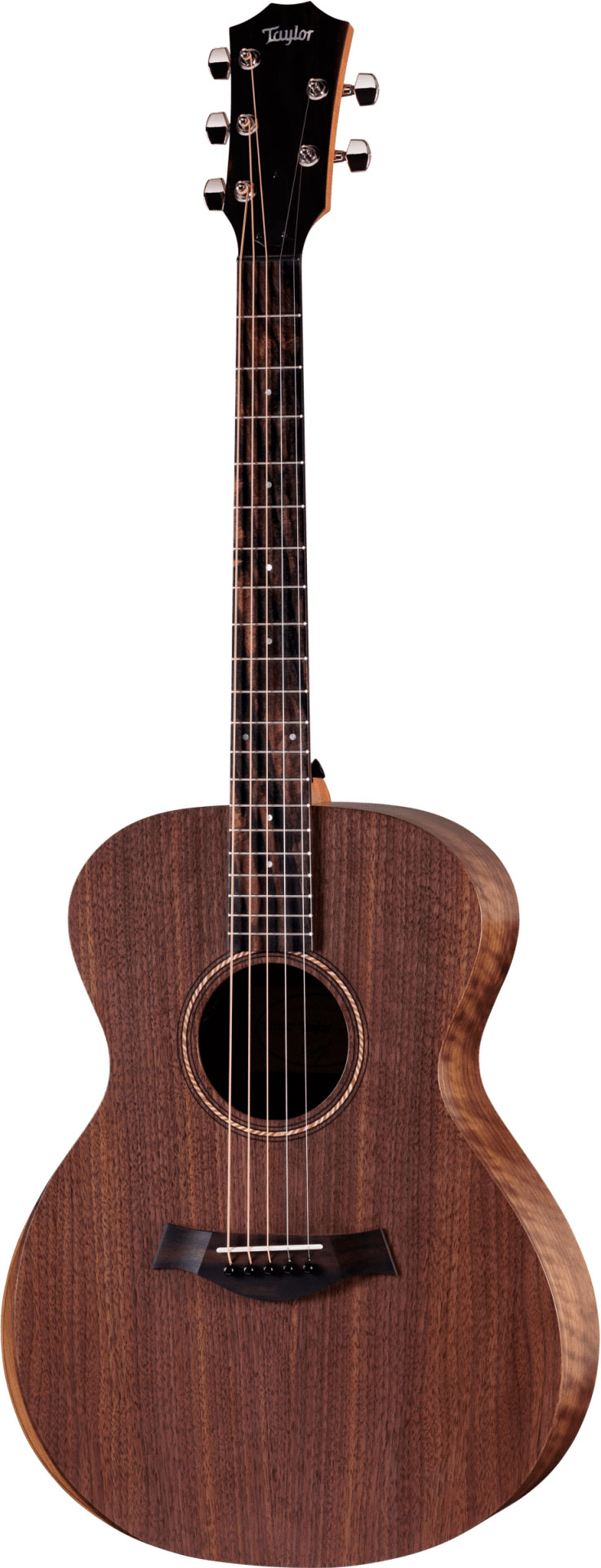 Taylor Jacob Collier Academy 22e 5-String