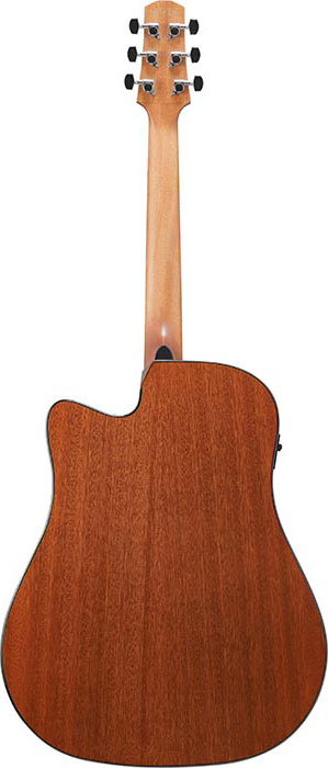 Ibanez AAD51CE Natural High Gloss