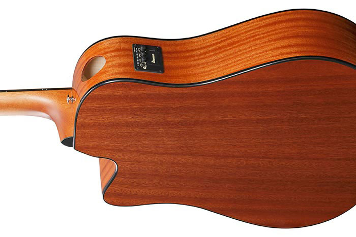 Ibanez AAD51CE Natural High Gloss