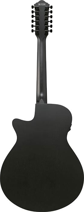 Ibanez AEG1221 12 String Black Out