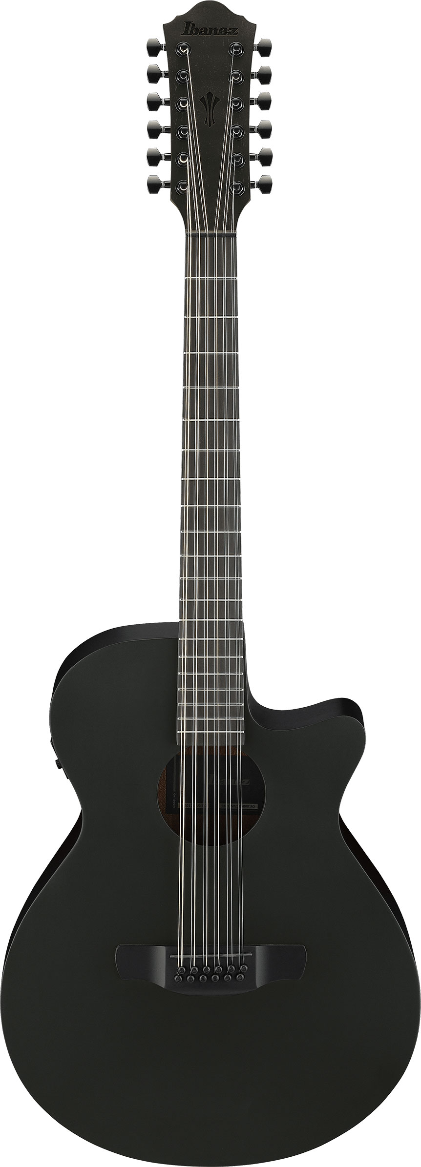 Ibanez AEG1221 12 String Black Out