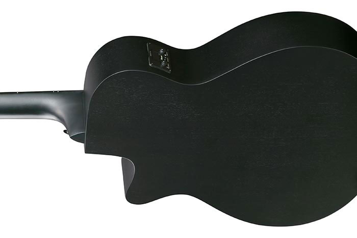 Ibanez AEG1221 12 String Black Out