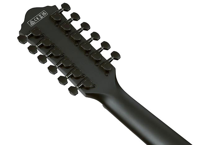 Ibanez AEG1221 12 String Black Out