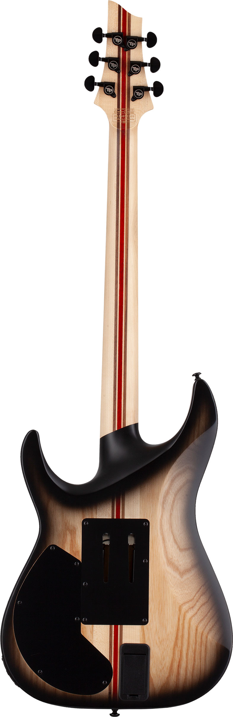 Schecter C-1 FR S Pale Moon Natural Satin Black Burst