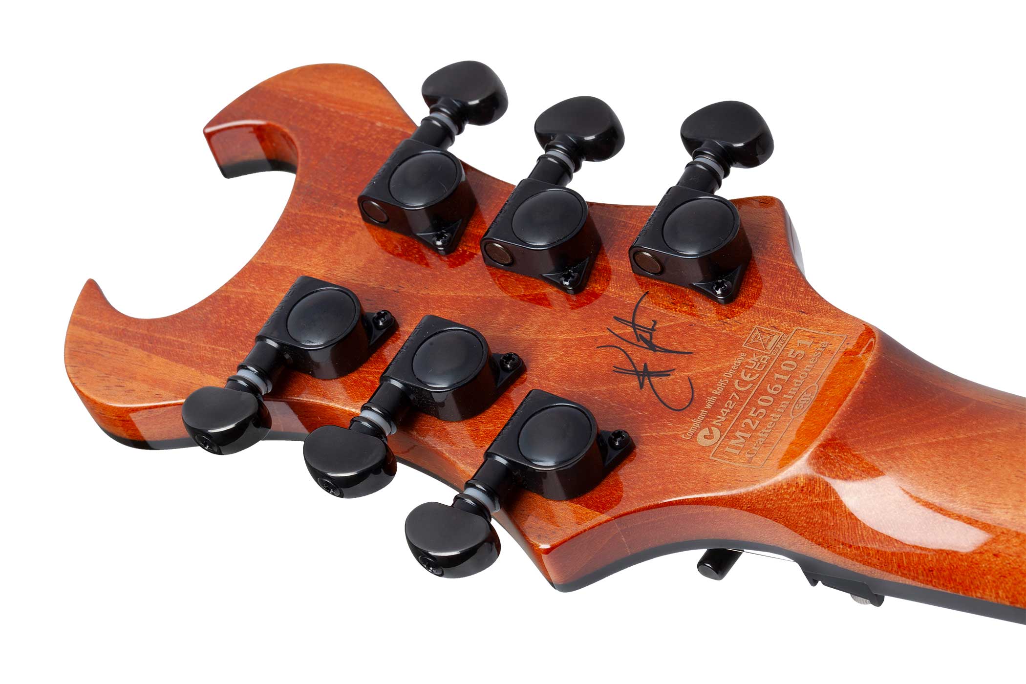 Schecter Synyster Standard Plus Gloss Natural with Black Pin Stripes