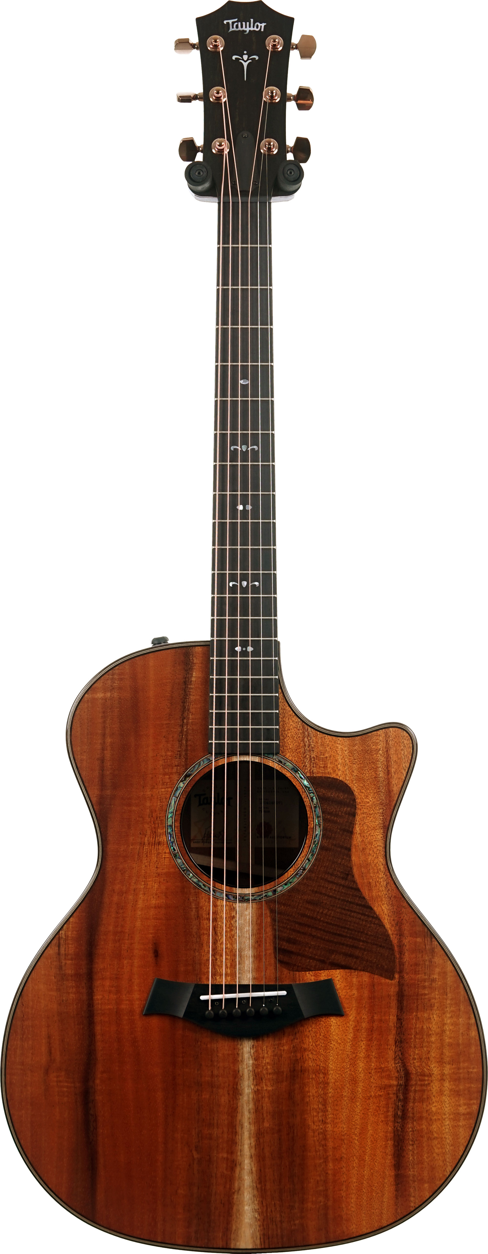 Taylor 724ce Gloss Grand Auditorium #1204145071