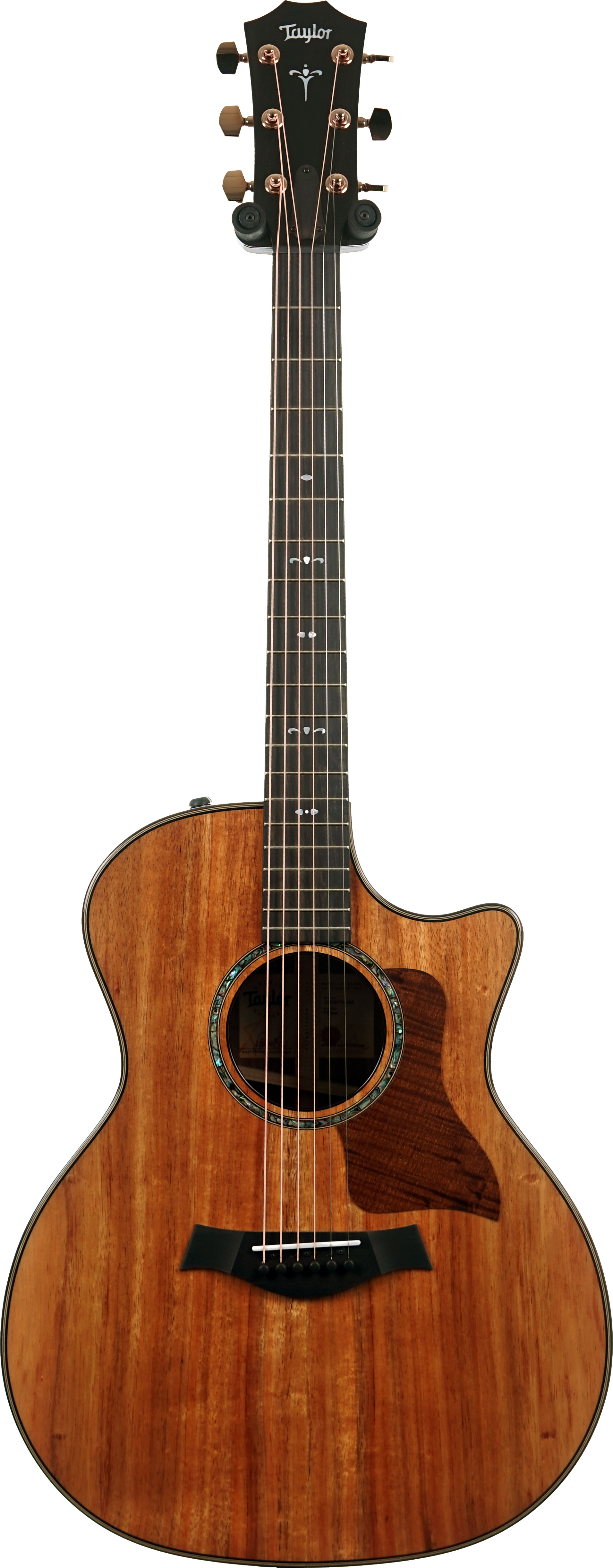 Taylor 724ce Gloss Grand Auditorium #1204075063