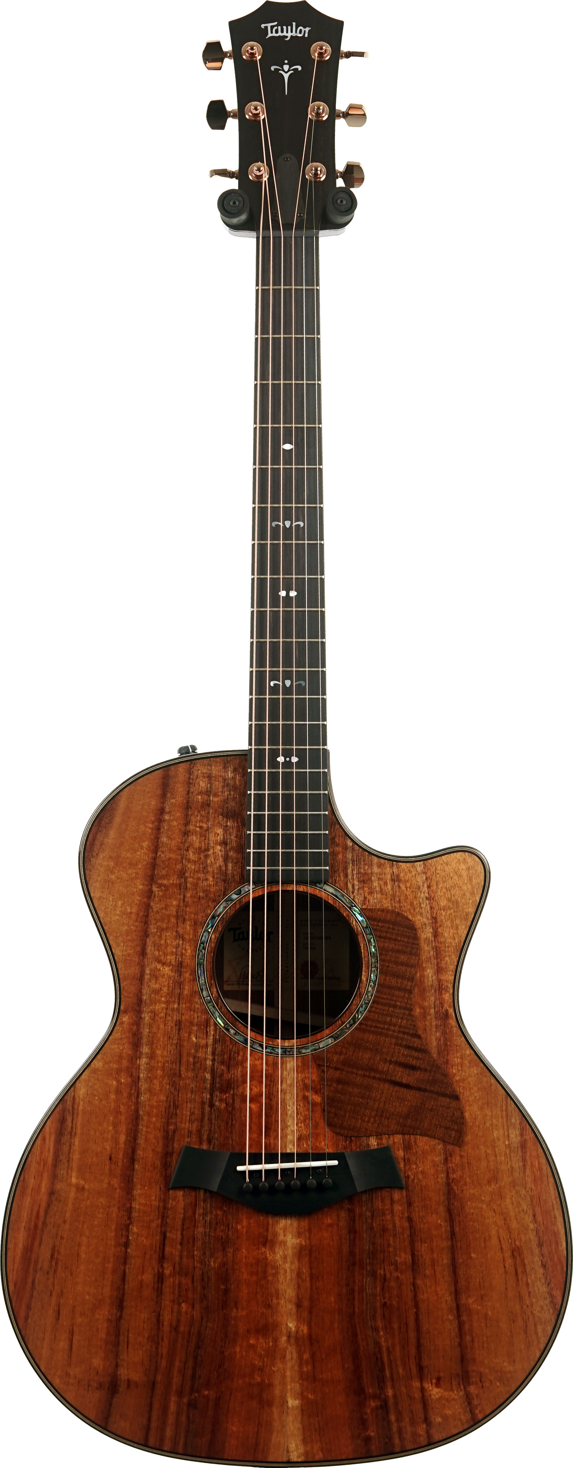 Taylor 724ce Gloss Grand Auditorium #1204045058