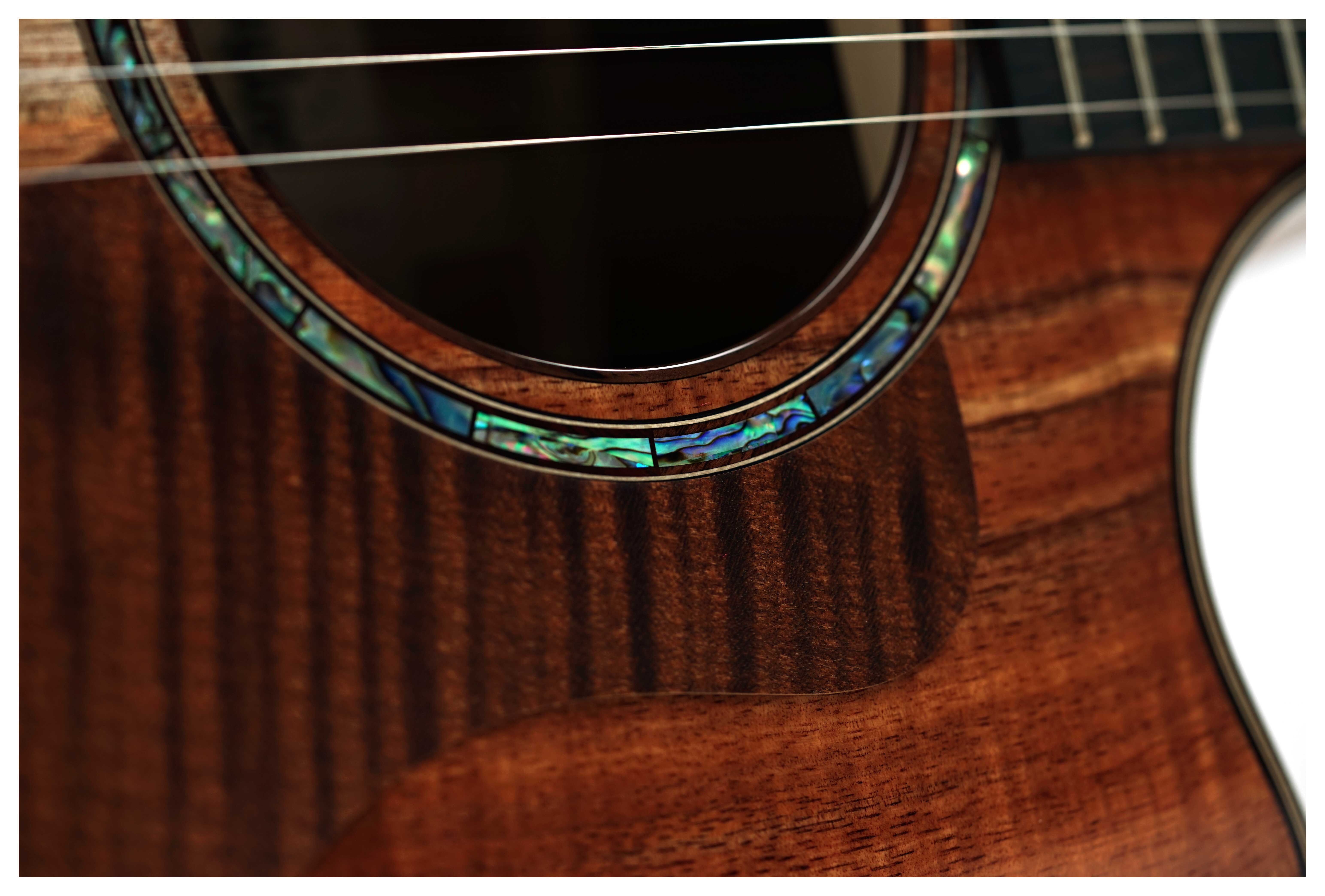 Taylor 724ce Gloss Grand Auditorium #1204045057