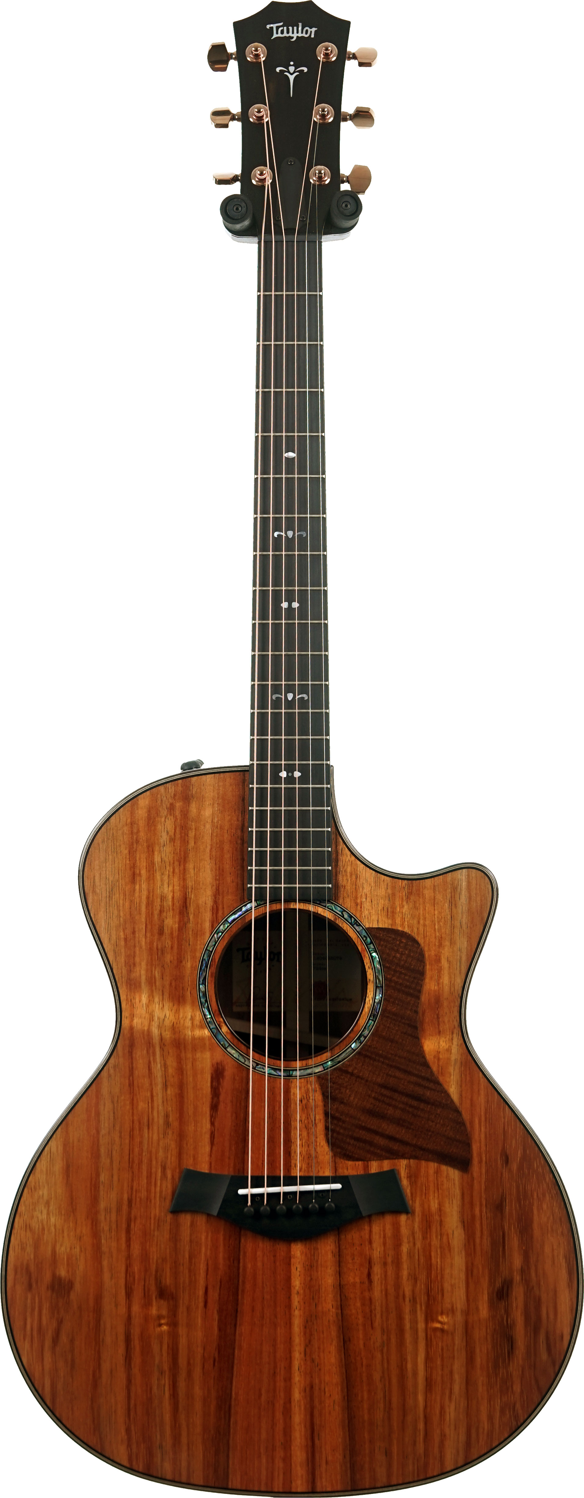 Taylor 724ce Gloss Grand Auditorium #1204025079