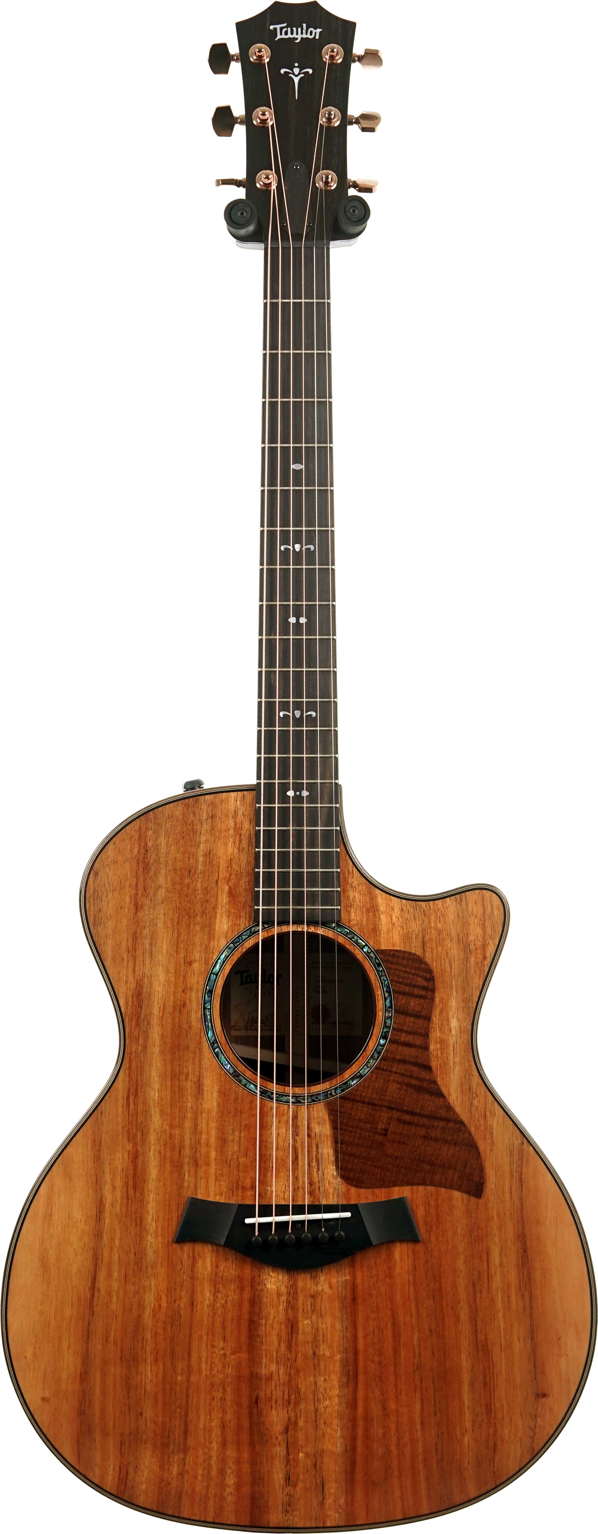 Taylor 724ce Gloss Grand Auditorium #1204025078