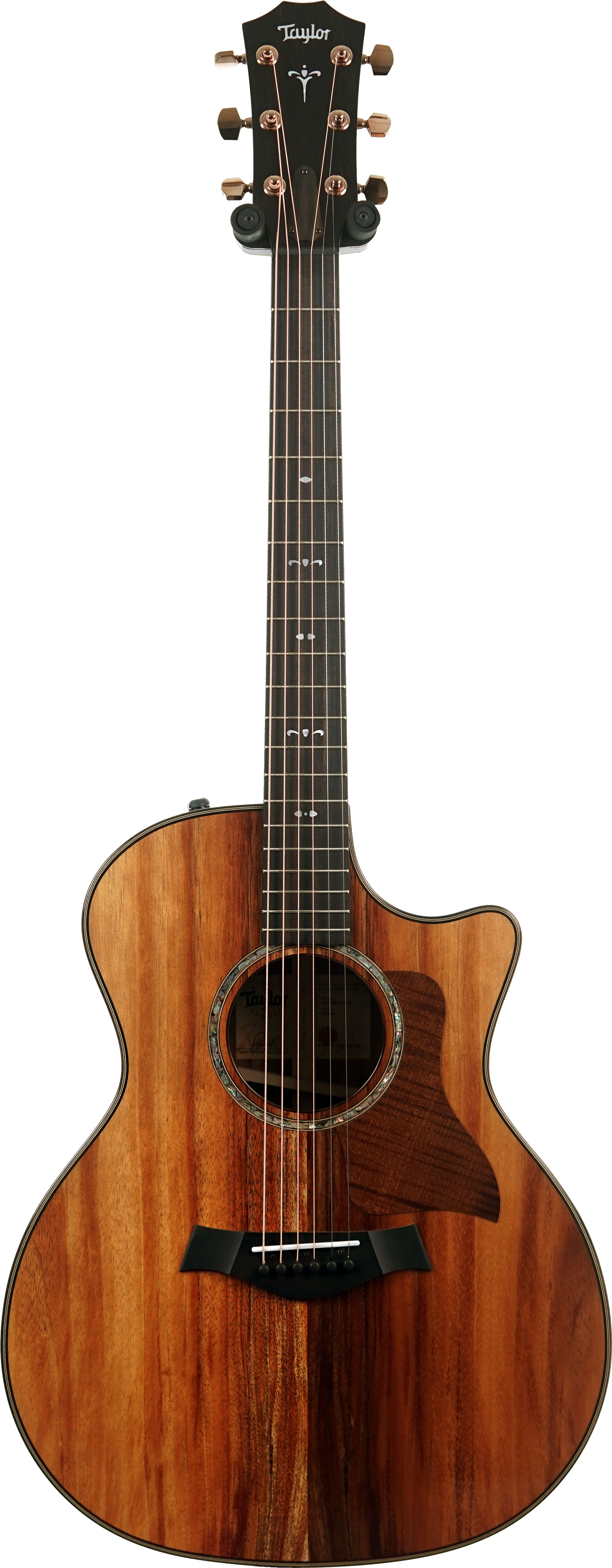 Taylor 724ce Gloss Grand Auditorium #1203315078