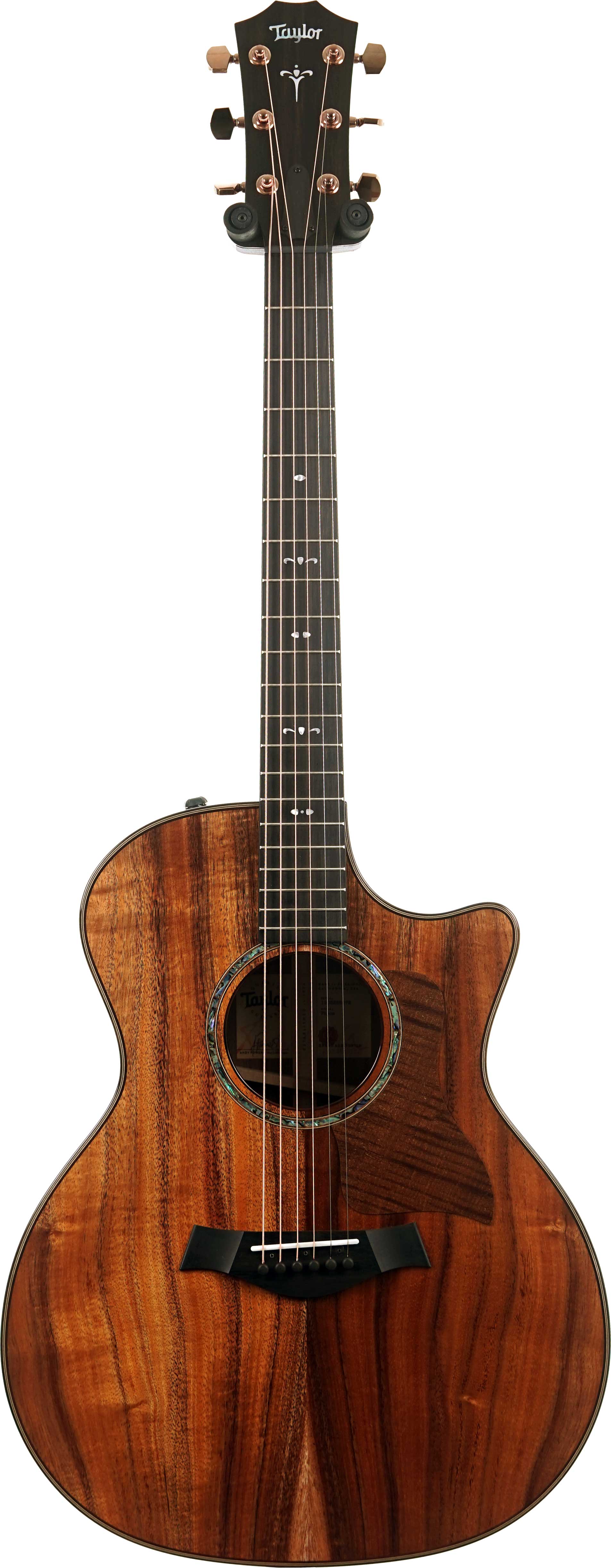 Taylor 724ce Gloss Grand Auditorium #1203285072