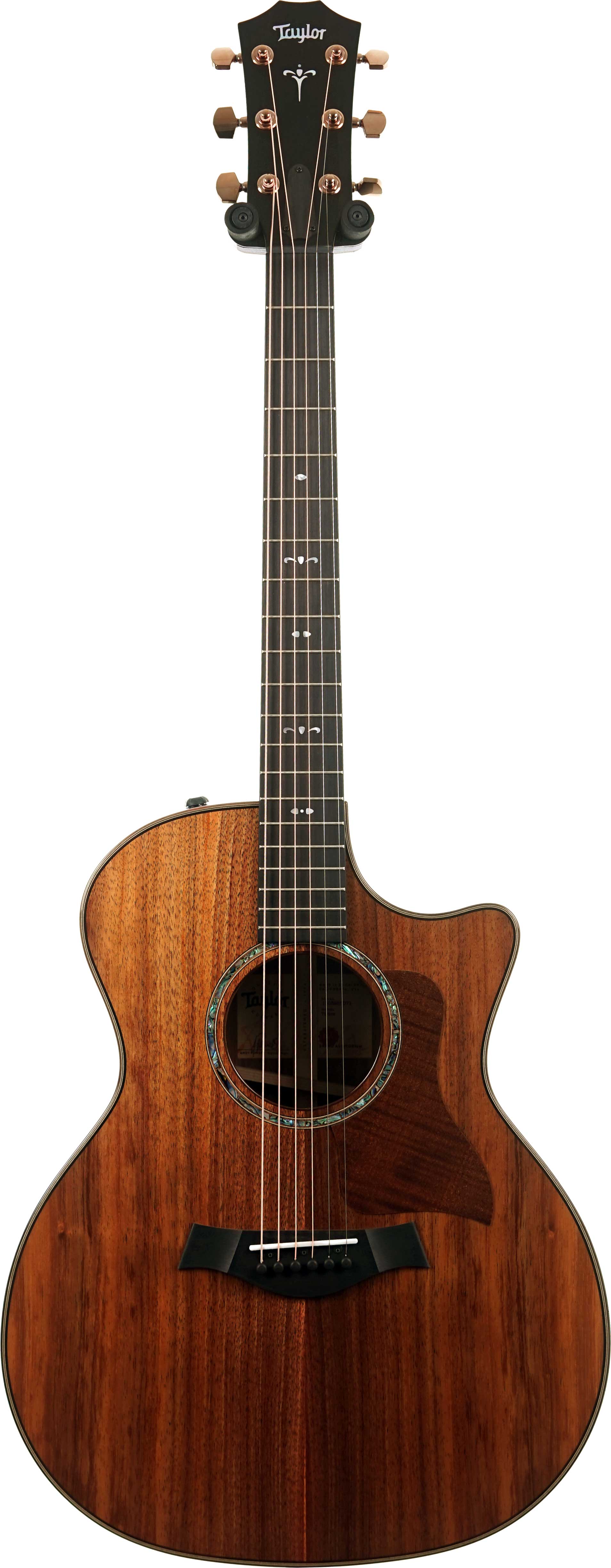 Taylor 724ce Gloss Grand Auditorium #1203285071