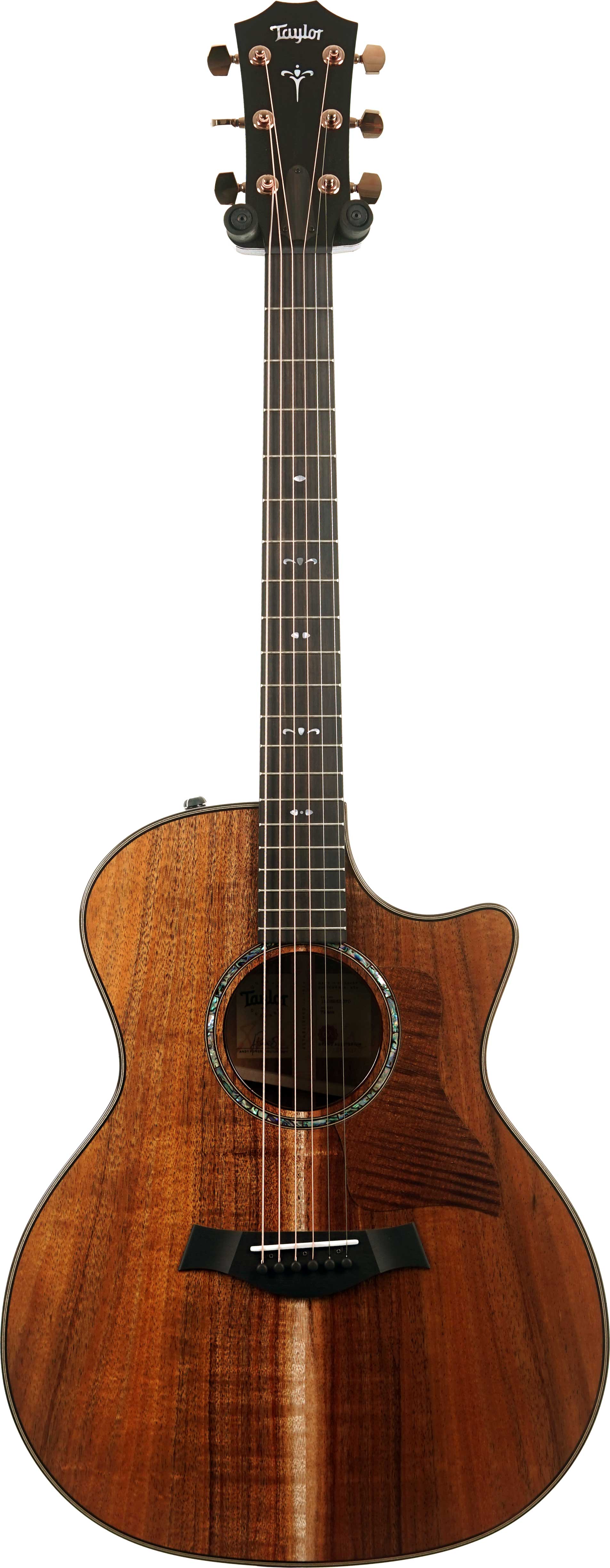 Taylor 724ce Gloss Grand Auditorium #1203285070