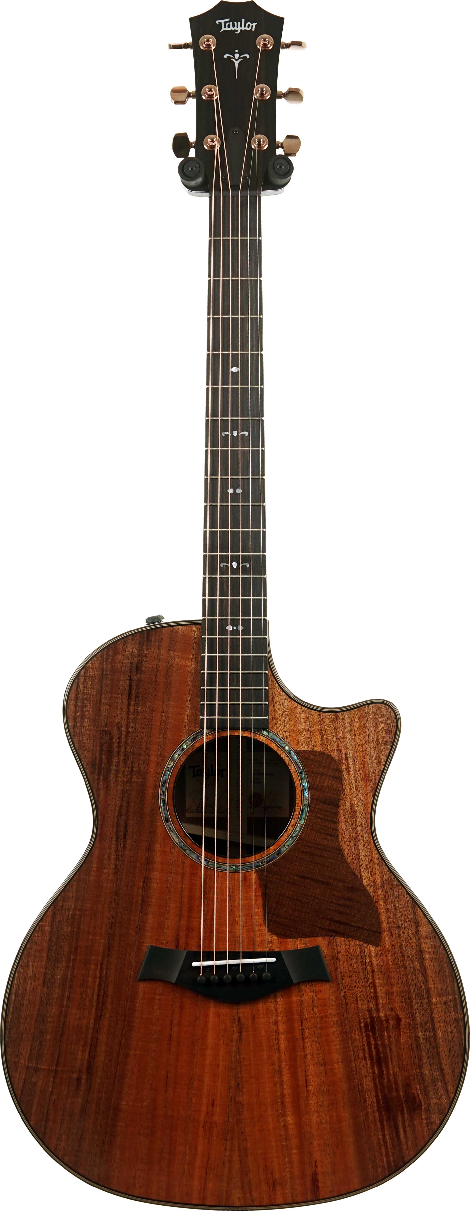 Taylor 724ce Gloss Grand Auditorium #1203285069