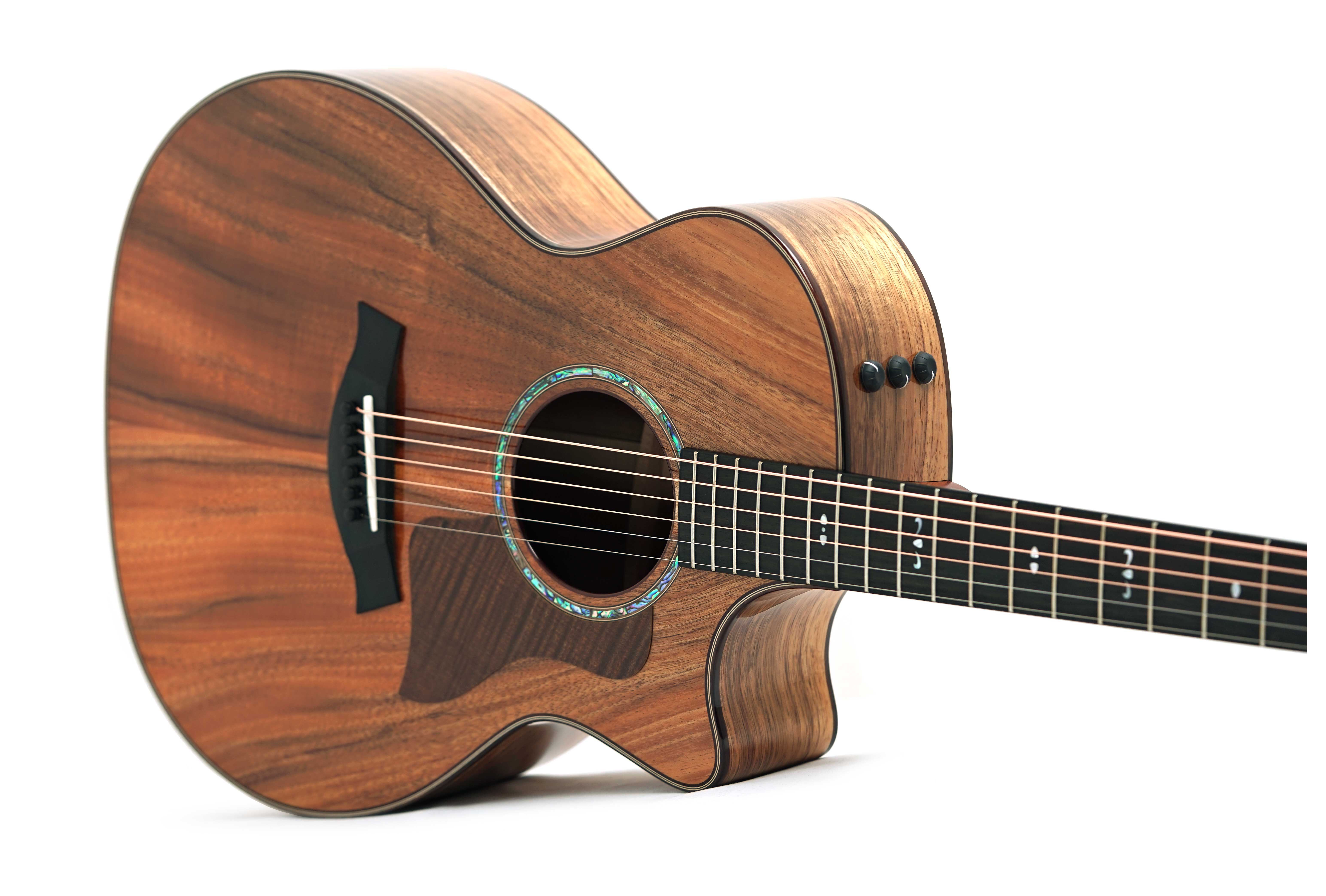 Taylor 724ce Gloss Grand Auditorium #1203275071