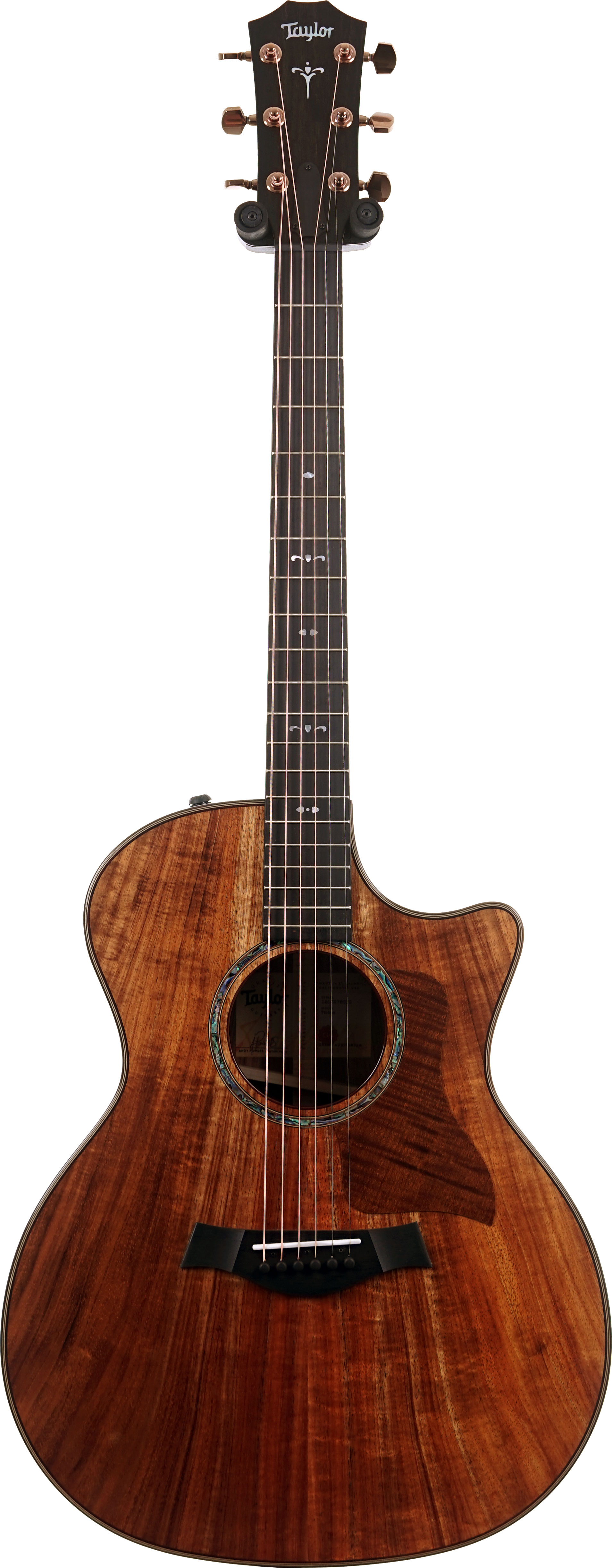 Taylor 724ce Gloss Grand Auditorium #1203275070