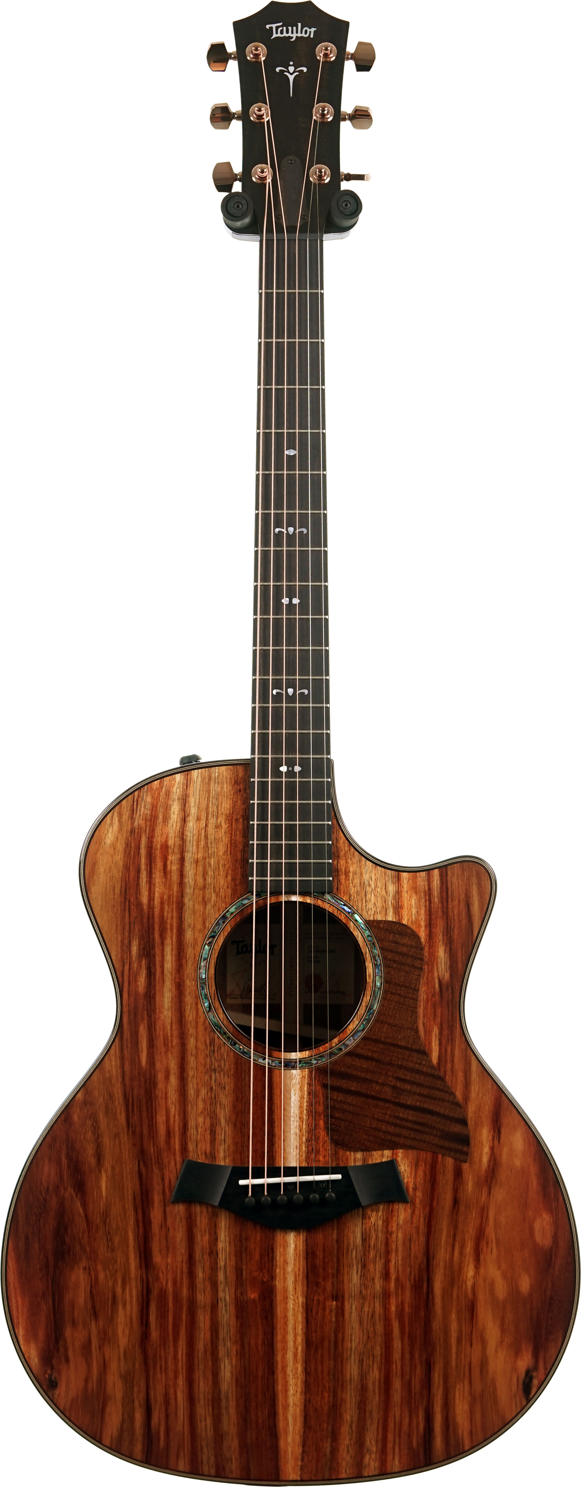 Taylor 724ce Gloss Grand Auditorium #1203265068