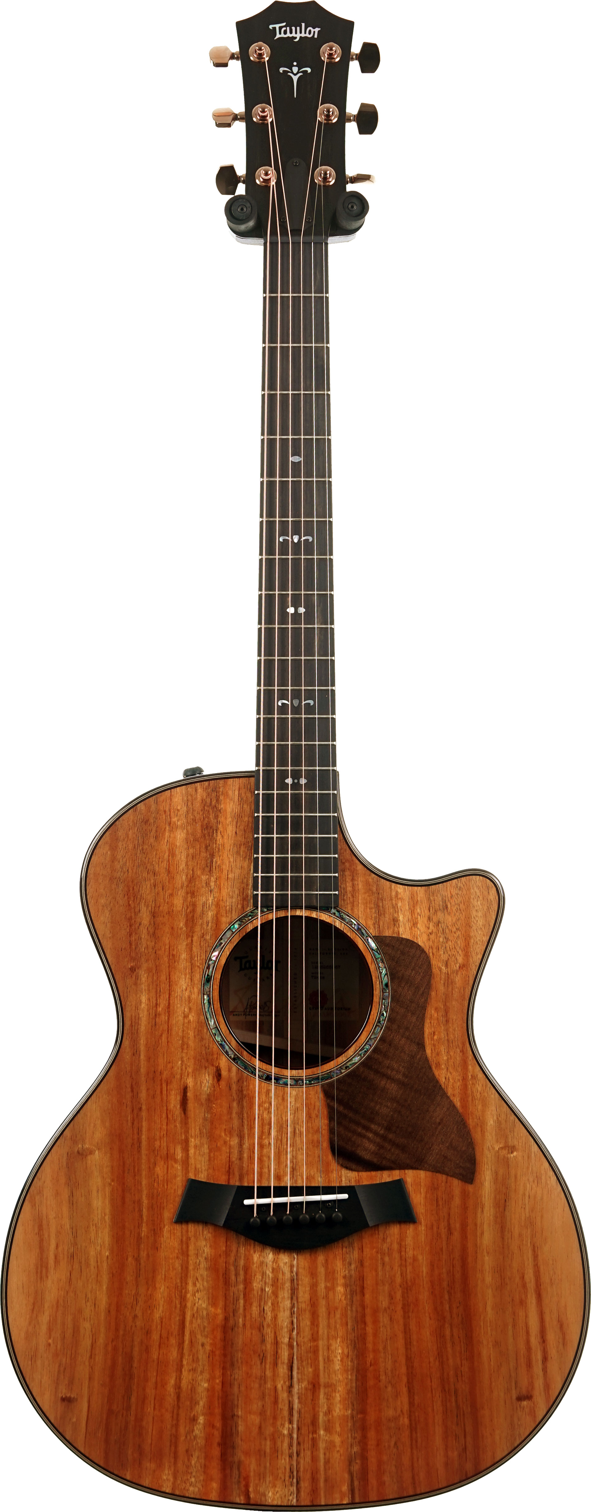 Taylor 724ce Gloss Grand Auditorium #1203265067