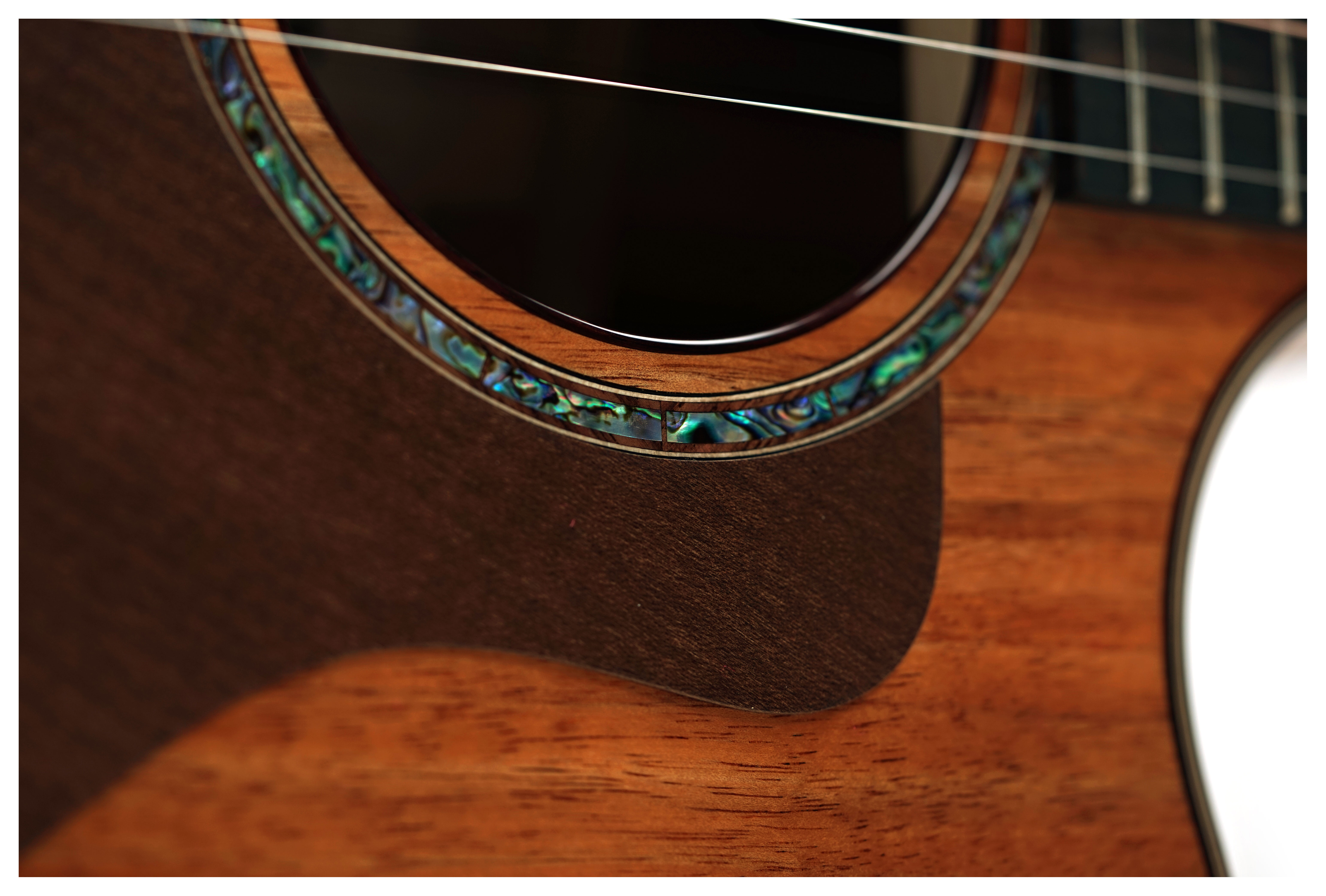 Taylor 724ce Gloss Grand Auditorium #1203265067