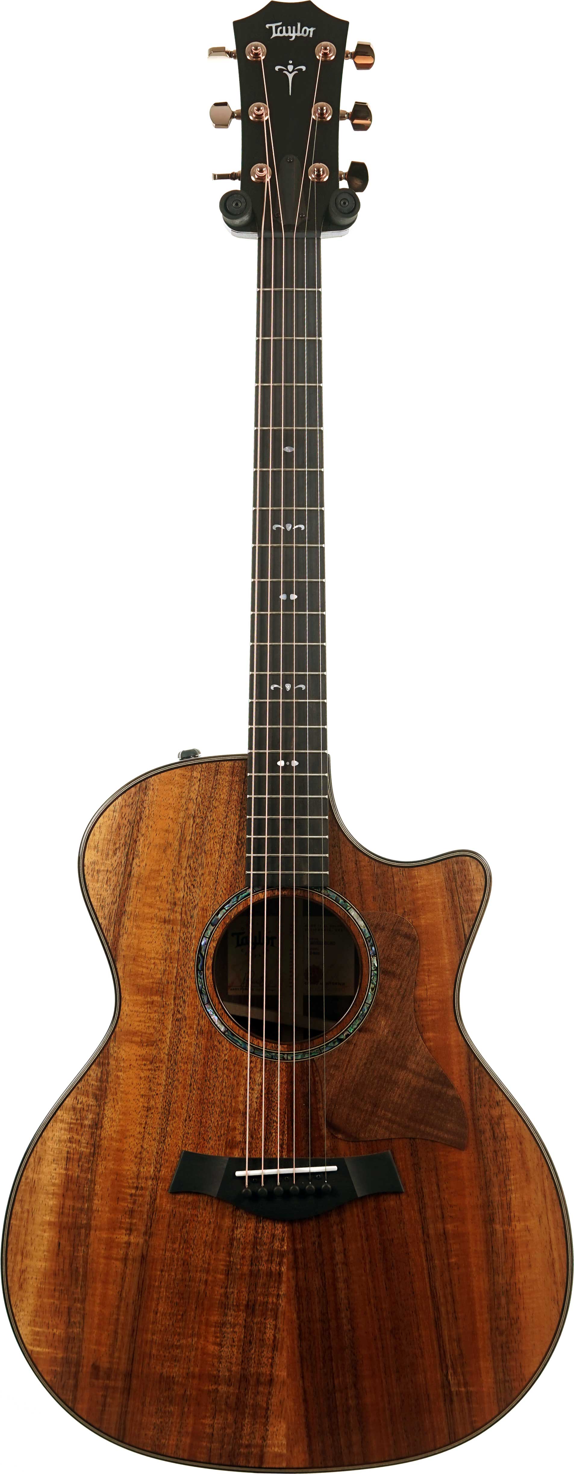 Taylor 724ce Gloss Grand Auditorium #1203255080