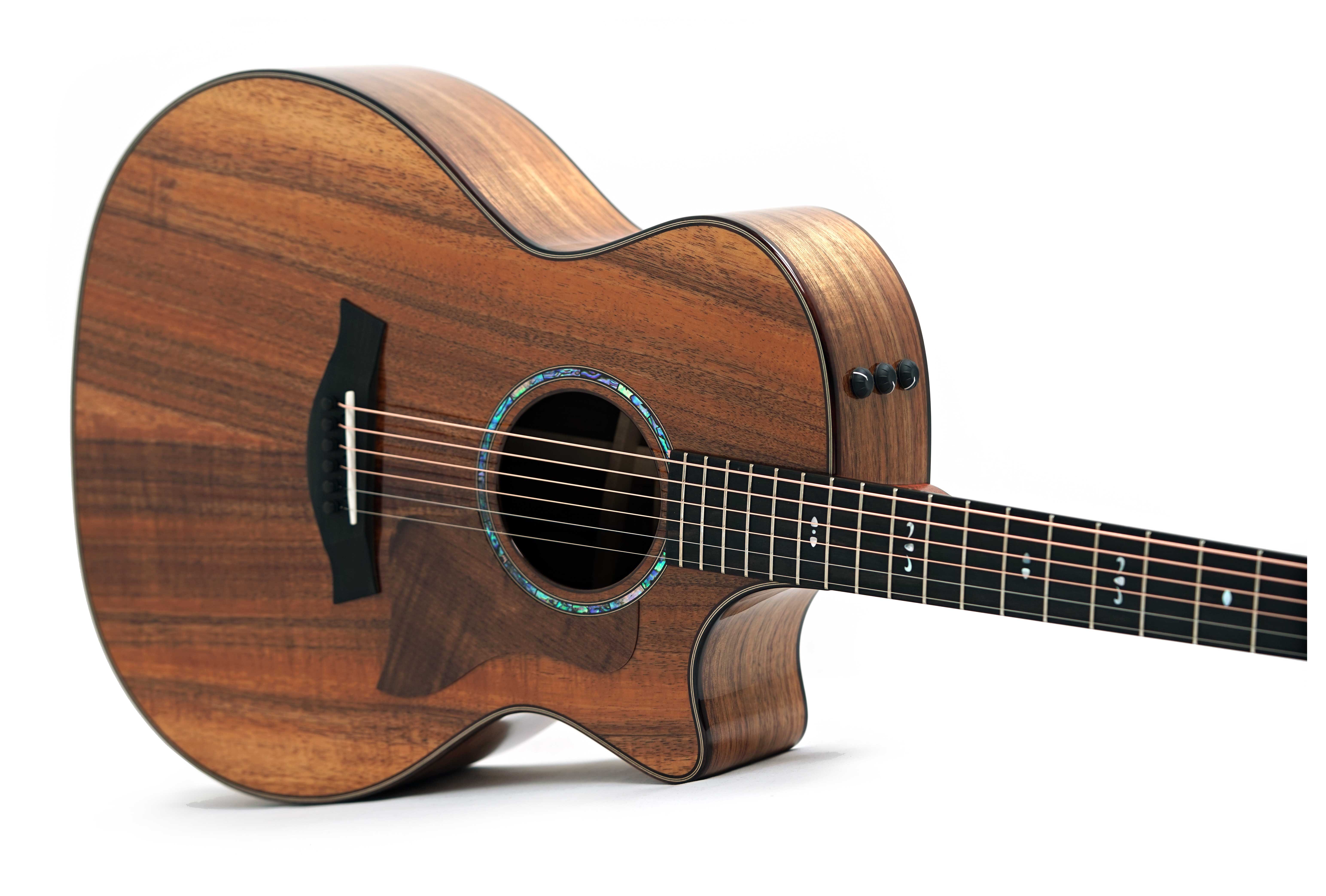 Taylor 724ce Gloss Grand Auditorium #1203255080