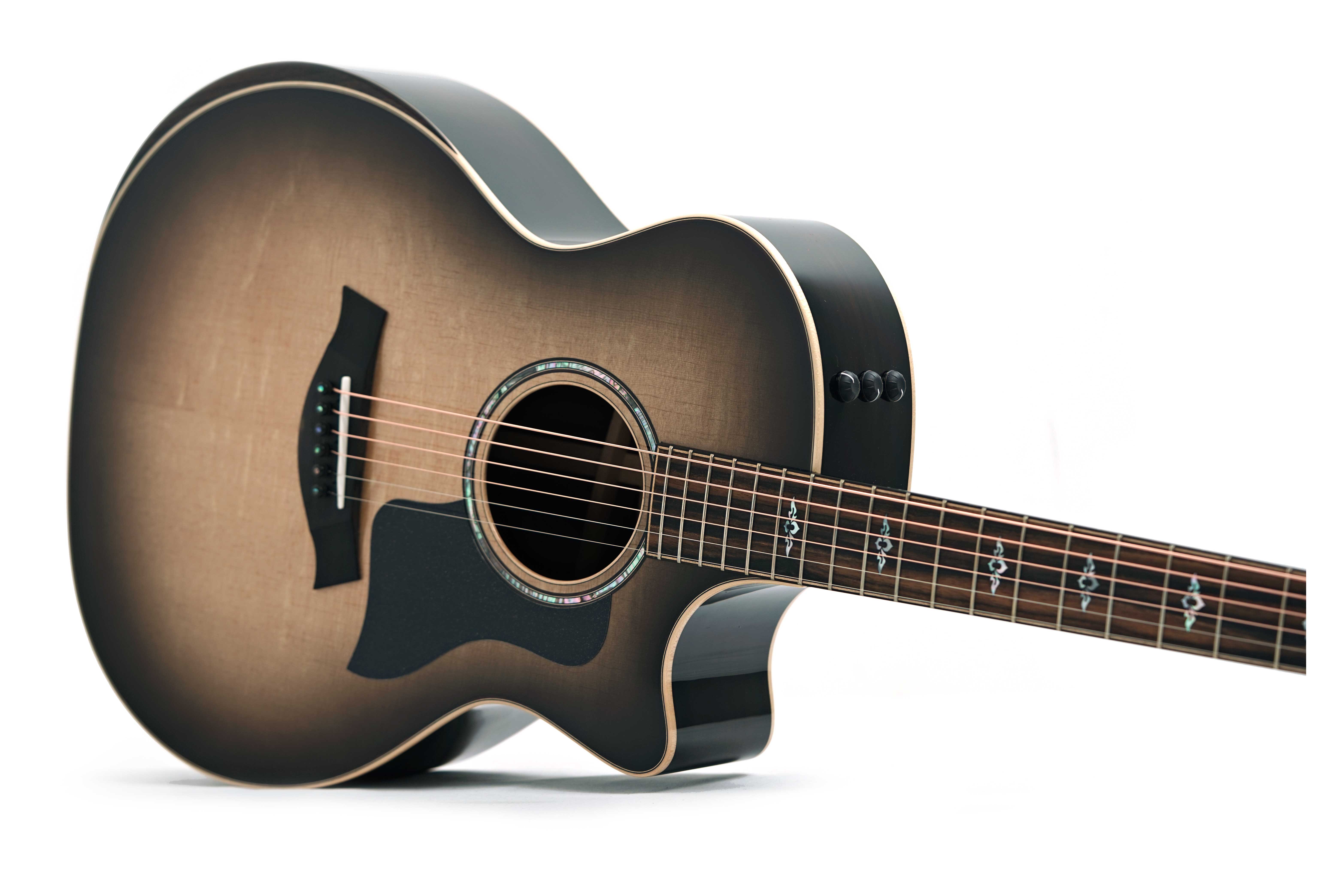 Taylor Special Edition 814ce Charcoal Burst #1204045064