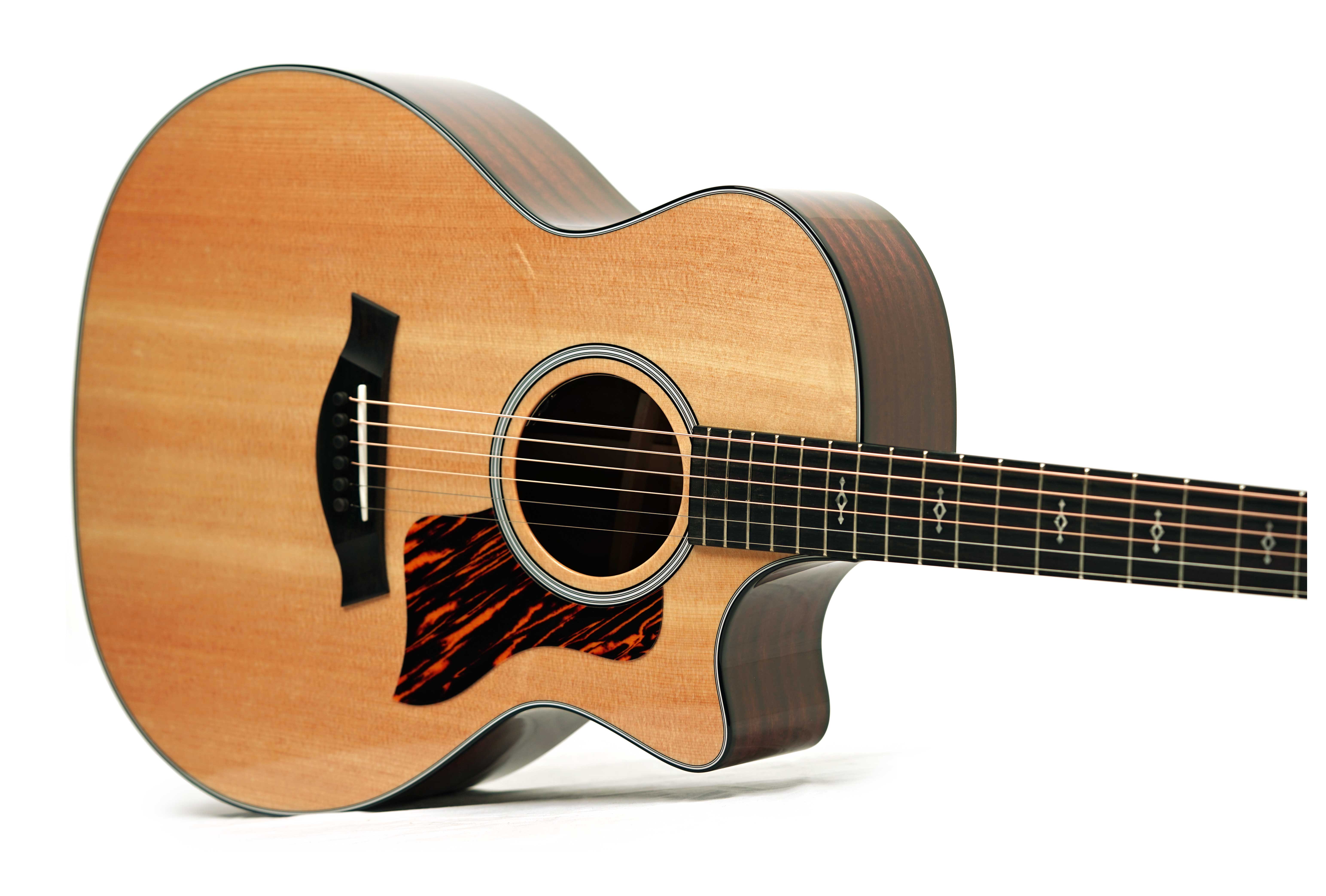 Taylor 314ce Next Generation Grand Auditorium #1201236049