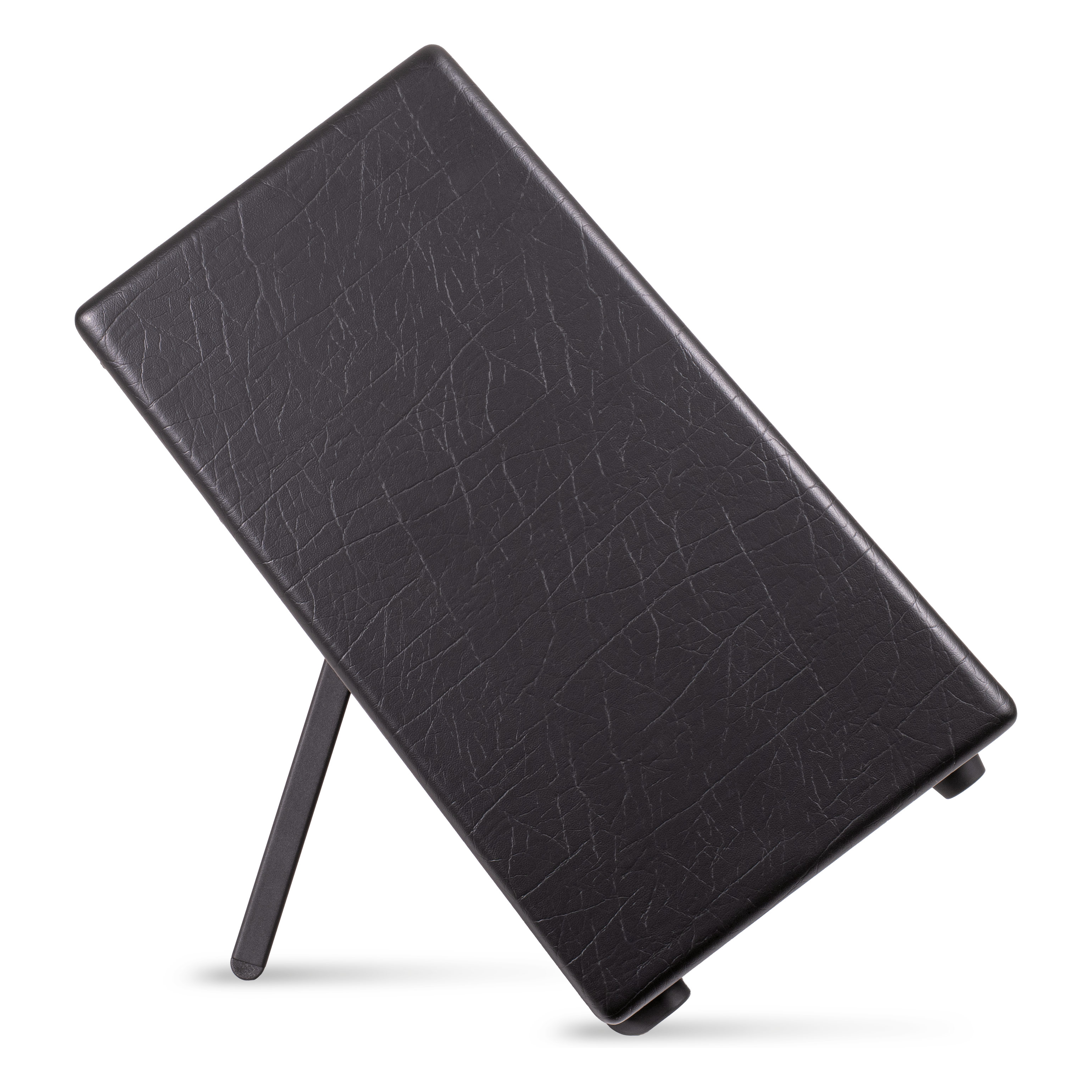 Blackstar Artist FR Special 100W FRFR Cabinet