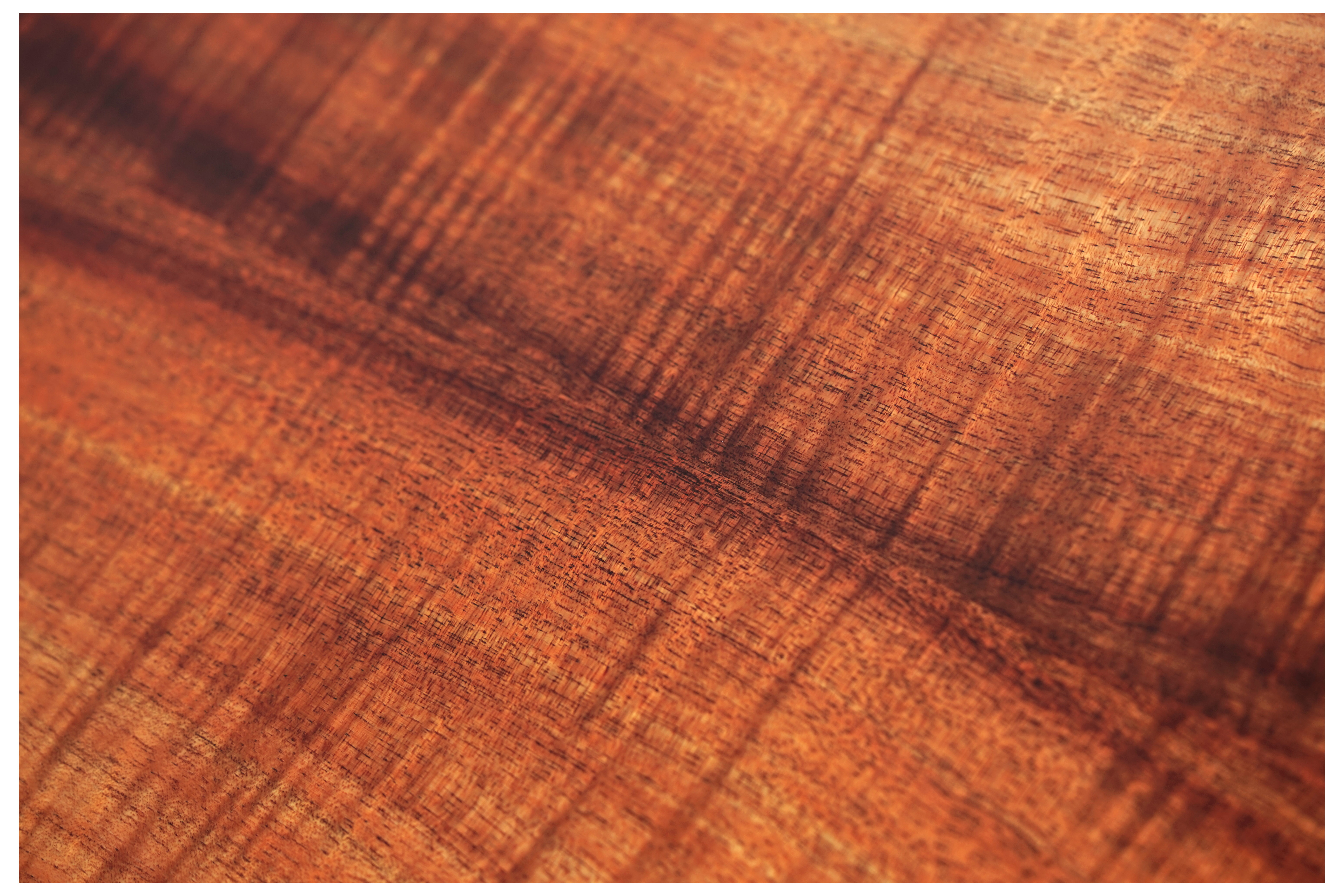 Taylor Gold Label K14e Super Auditorium #1204085012