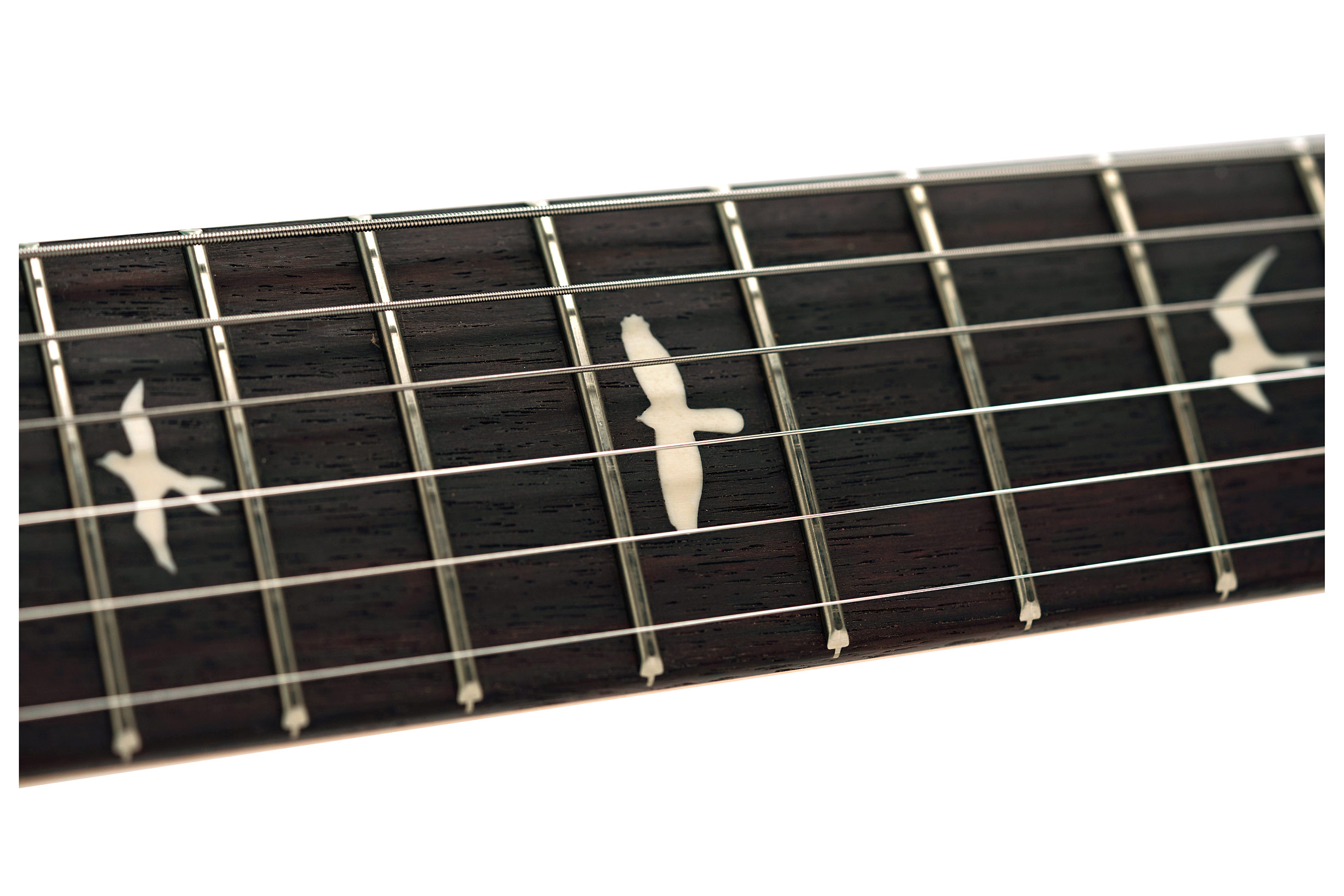 PRS Limited Edition Silver Sky Wild Blue #0430398