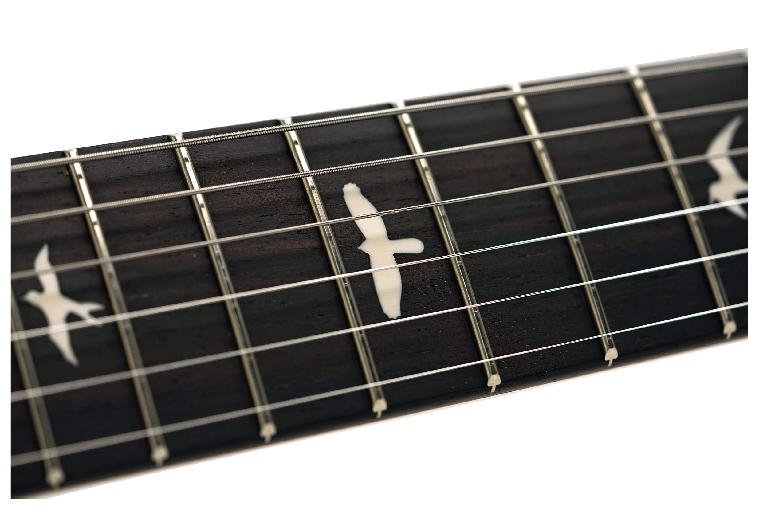 PRS Limited Edition Silver Sky Wild Blue (Ex-Demo) #0431747