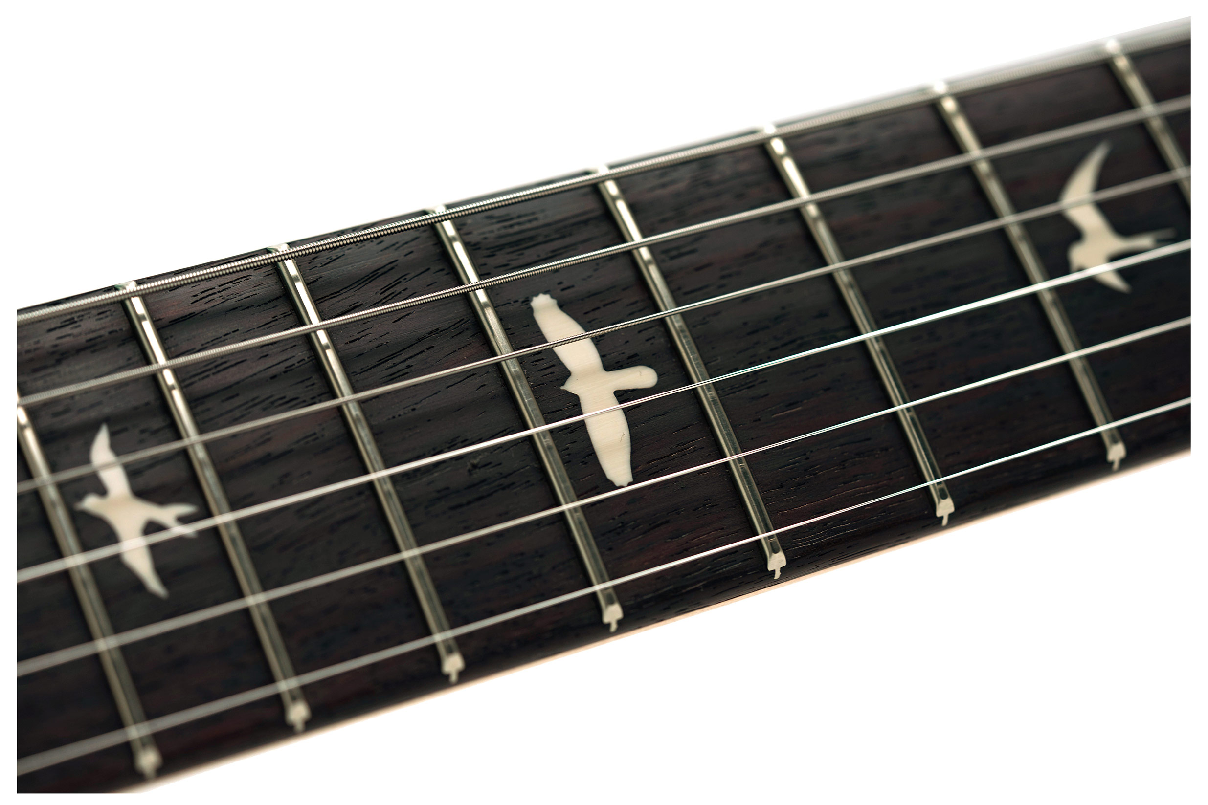 PRS Limited Edition Silver Sky Wild Blue #0430642