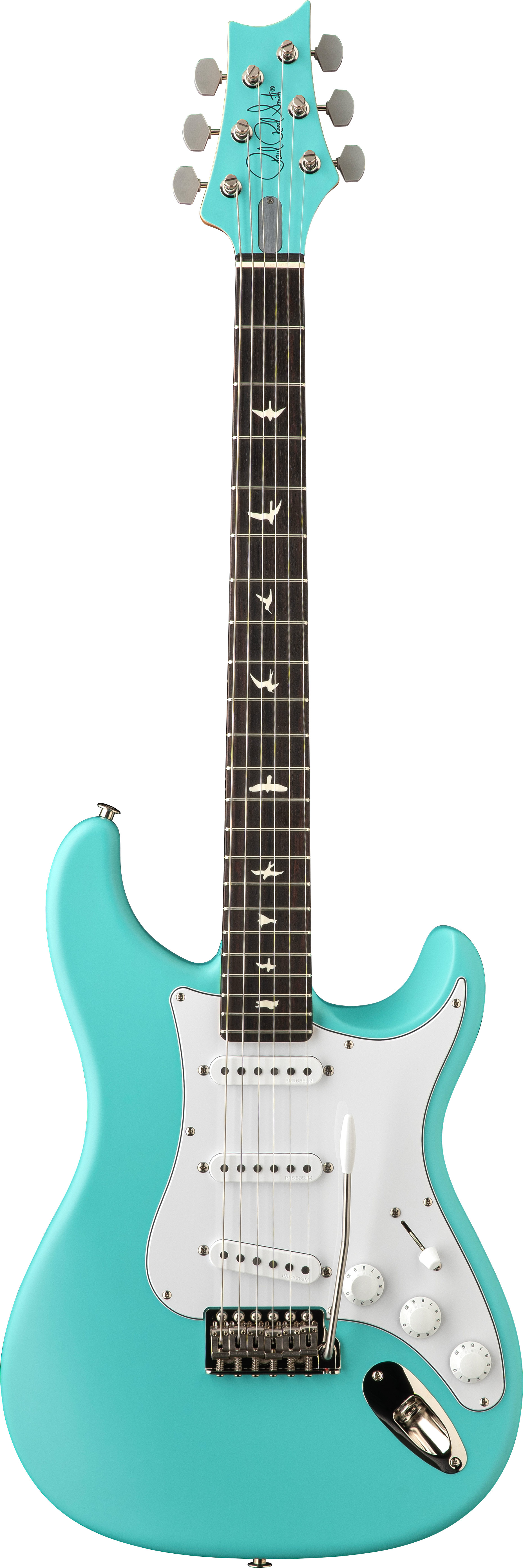 PRS Limited Edition Silver Sky Wild Blue