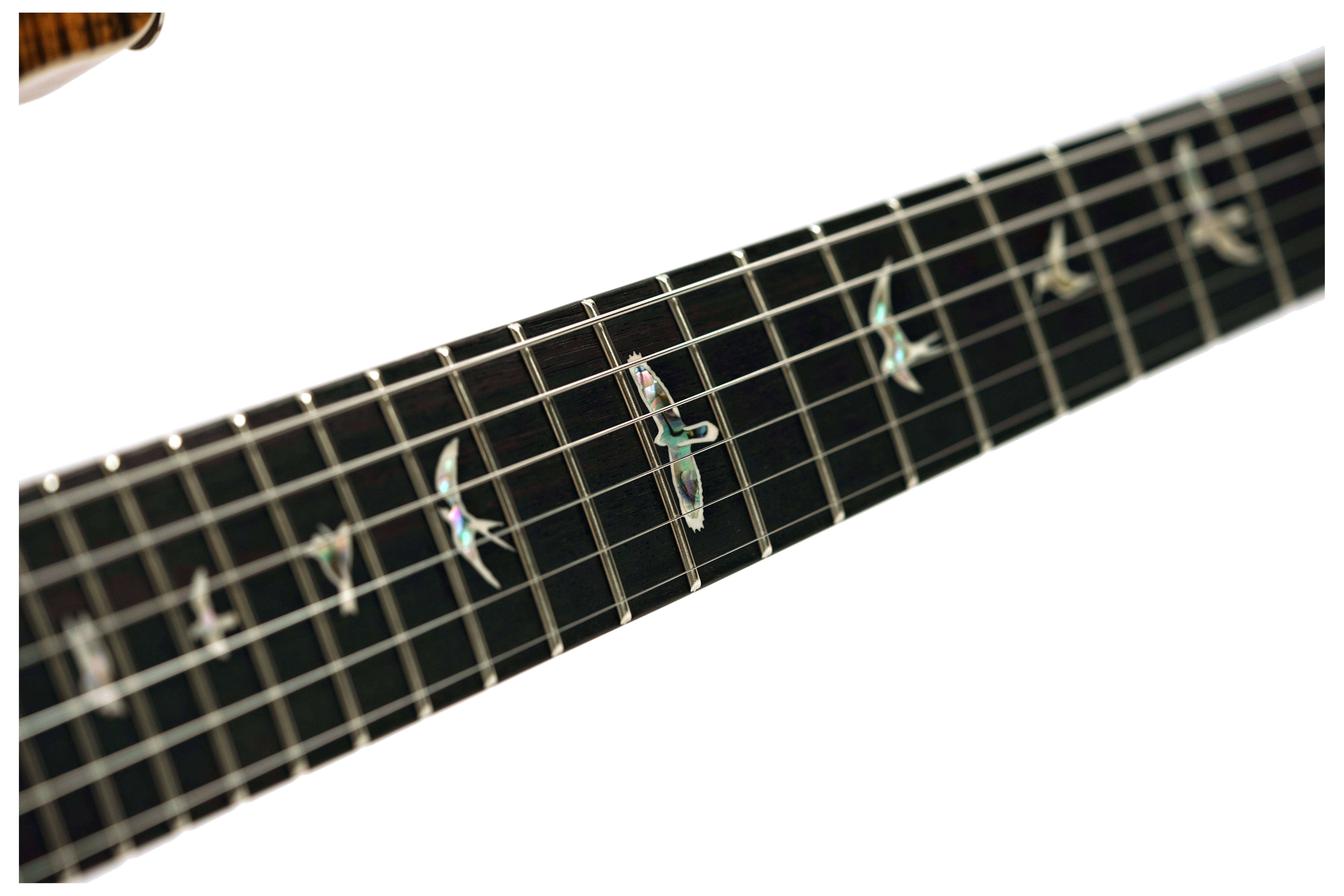 PRS Custom 24-08 Tiger Eye #0423610