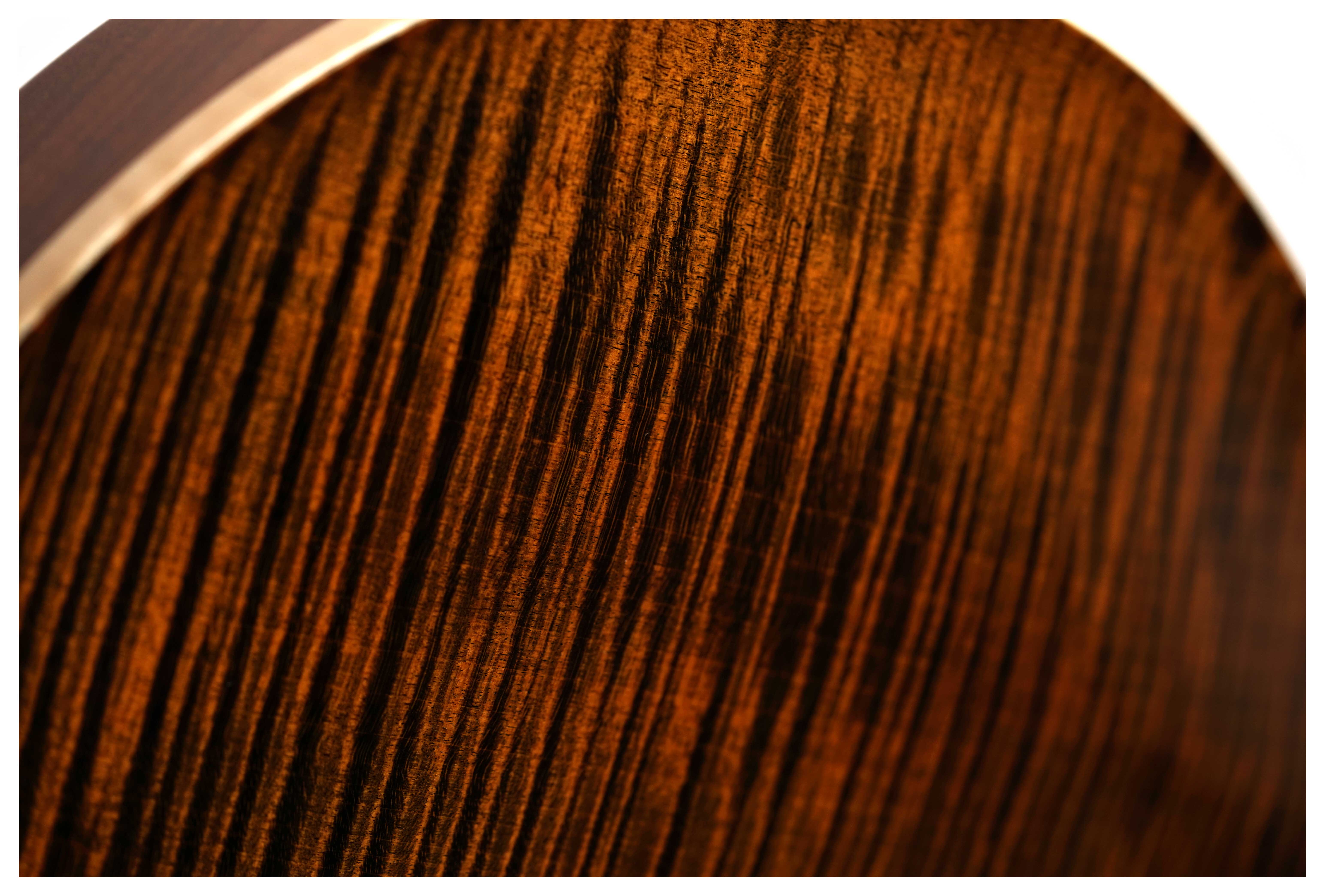 PRS DGT Birds 10 Top Tiger Eye #0416888