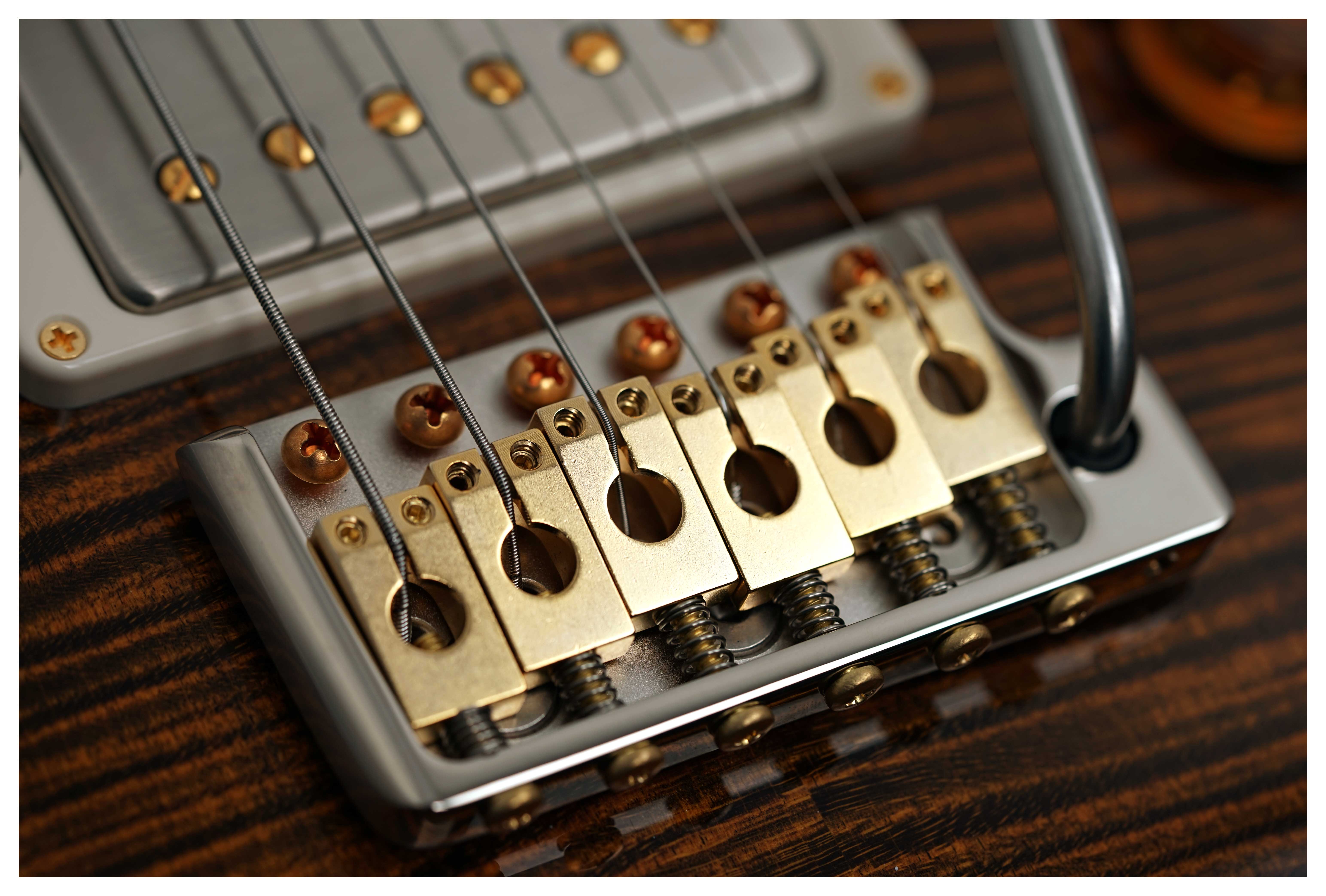PRS DGT Birds 10 Top Tiger Eye #0416888