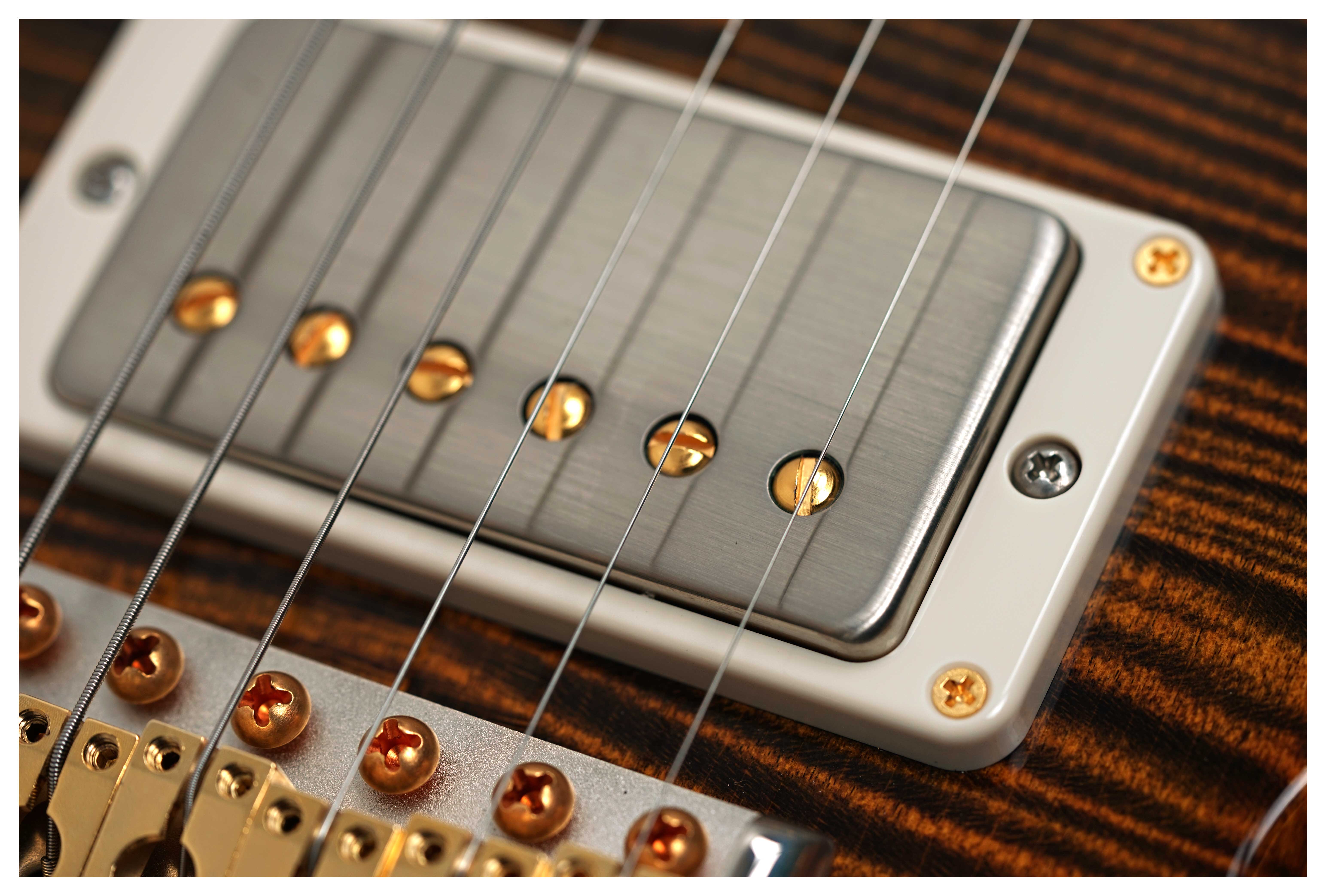 PRS DGT Birds 10 Top Tiger Eye #0416888