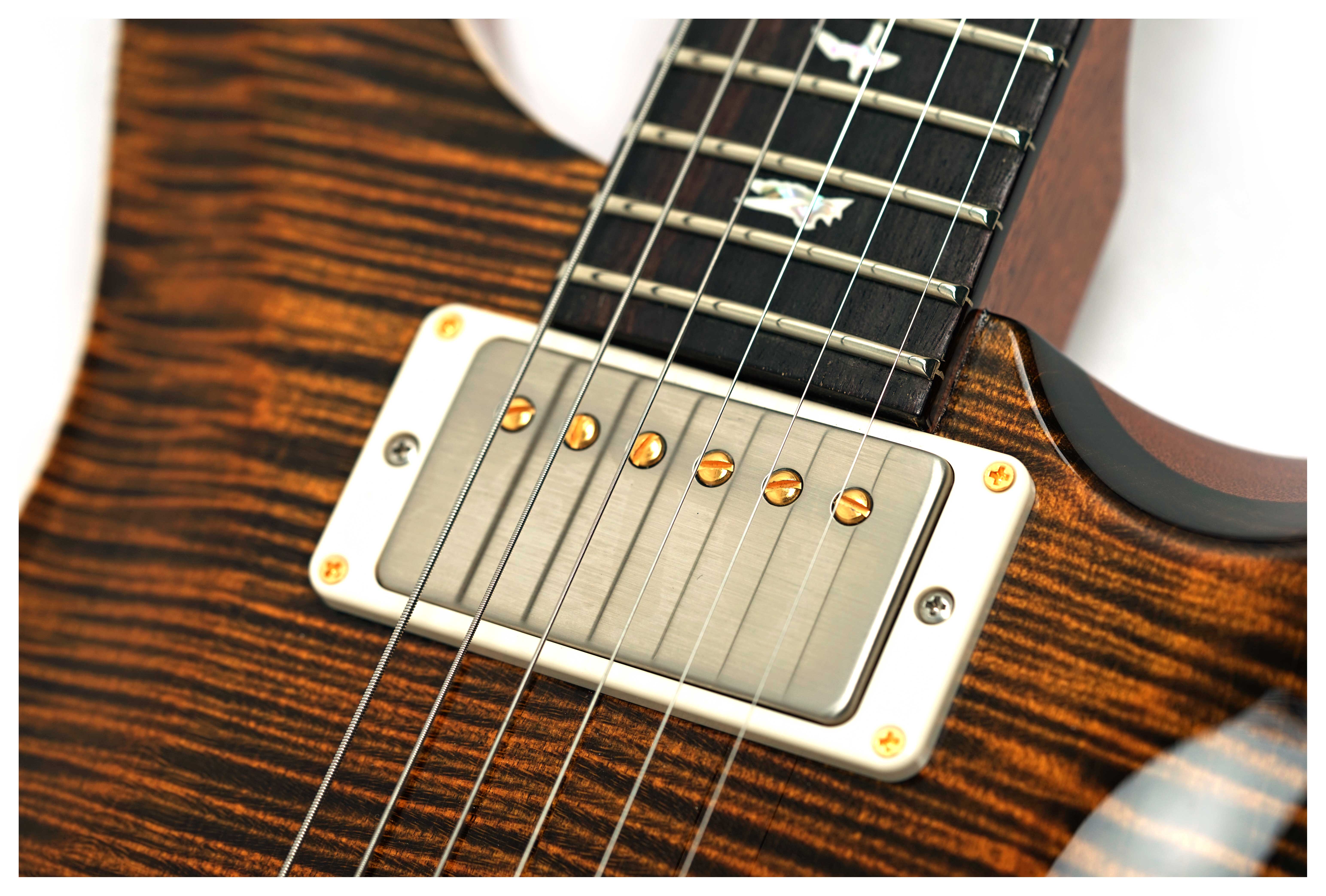 PRS DGT Birds 10 Top Tiger Eye #0416888