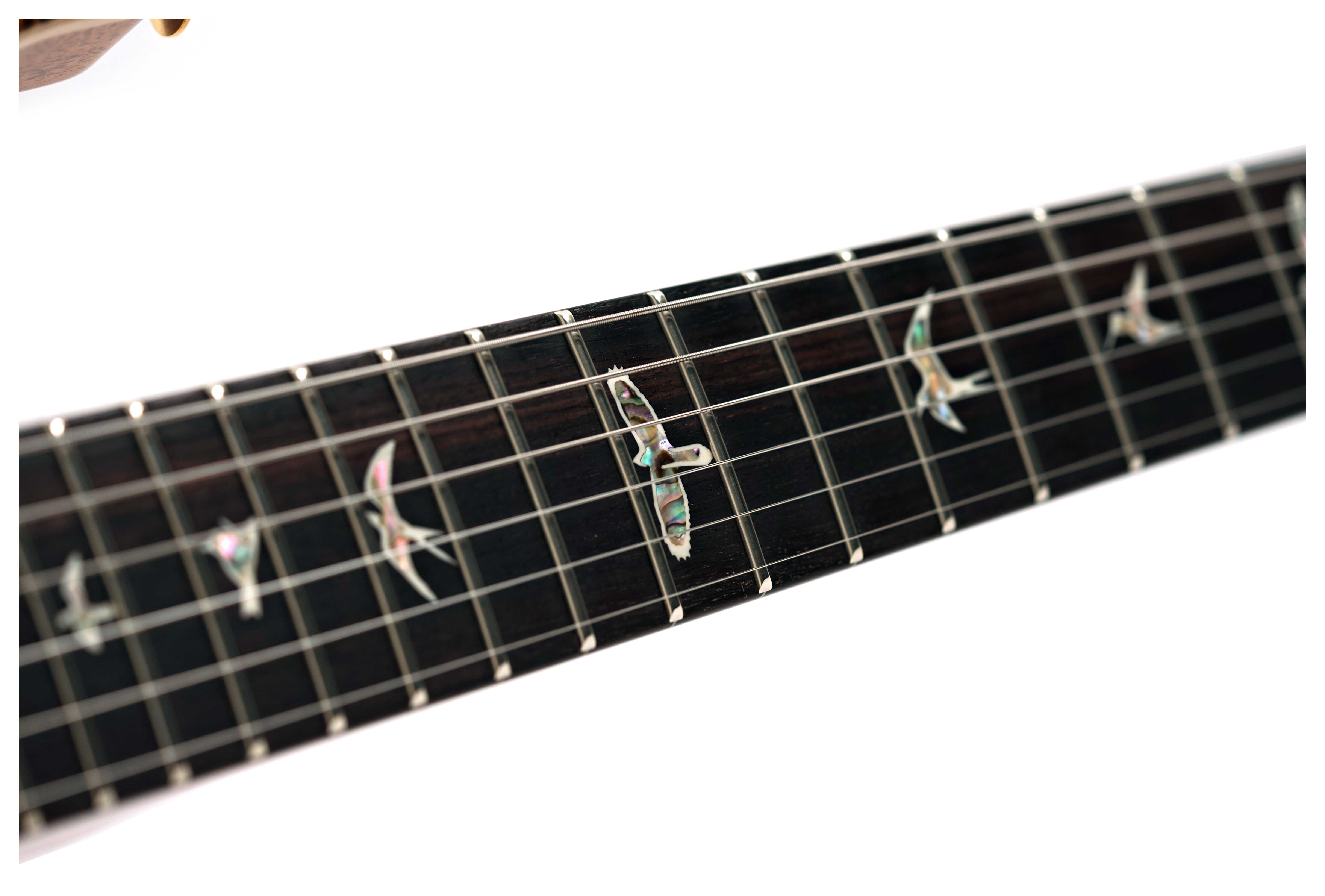 PRS DGT Birds 10 Top Tiger Eye #0416888