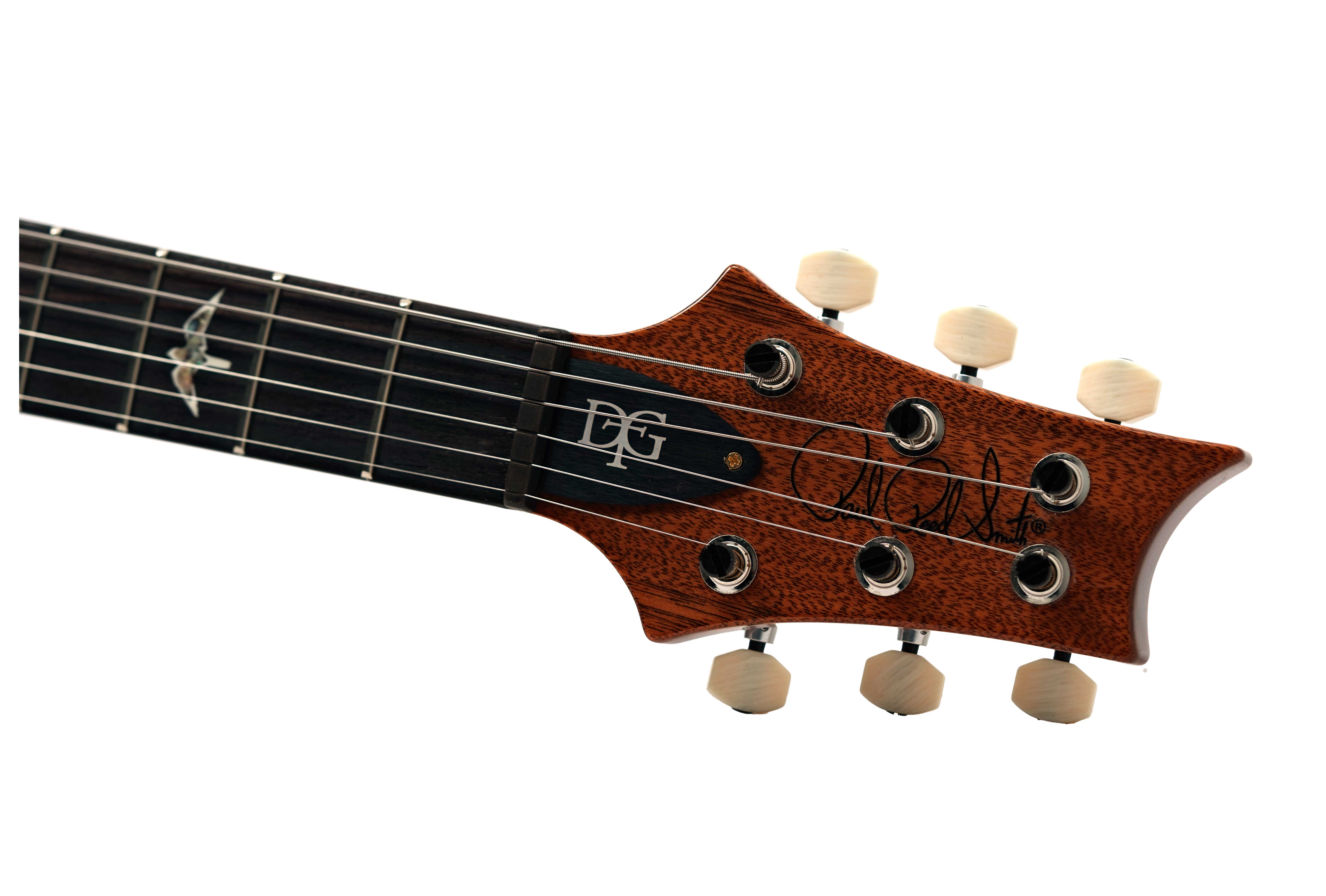PRS DGT Birds 10 Top Tiger Eye #0416888