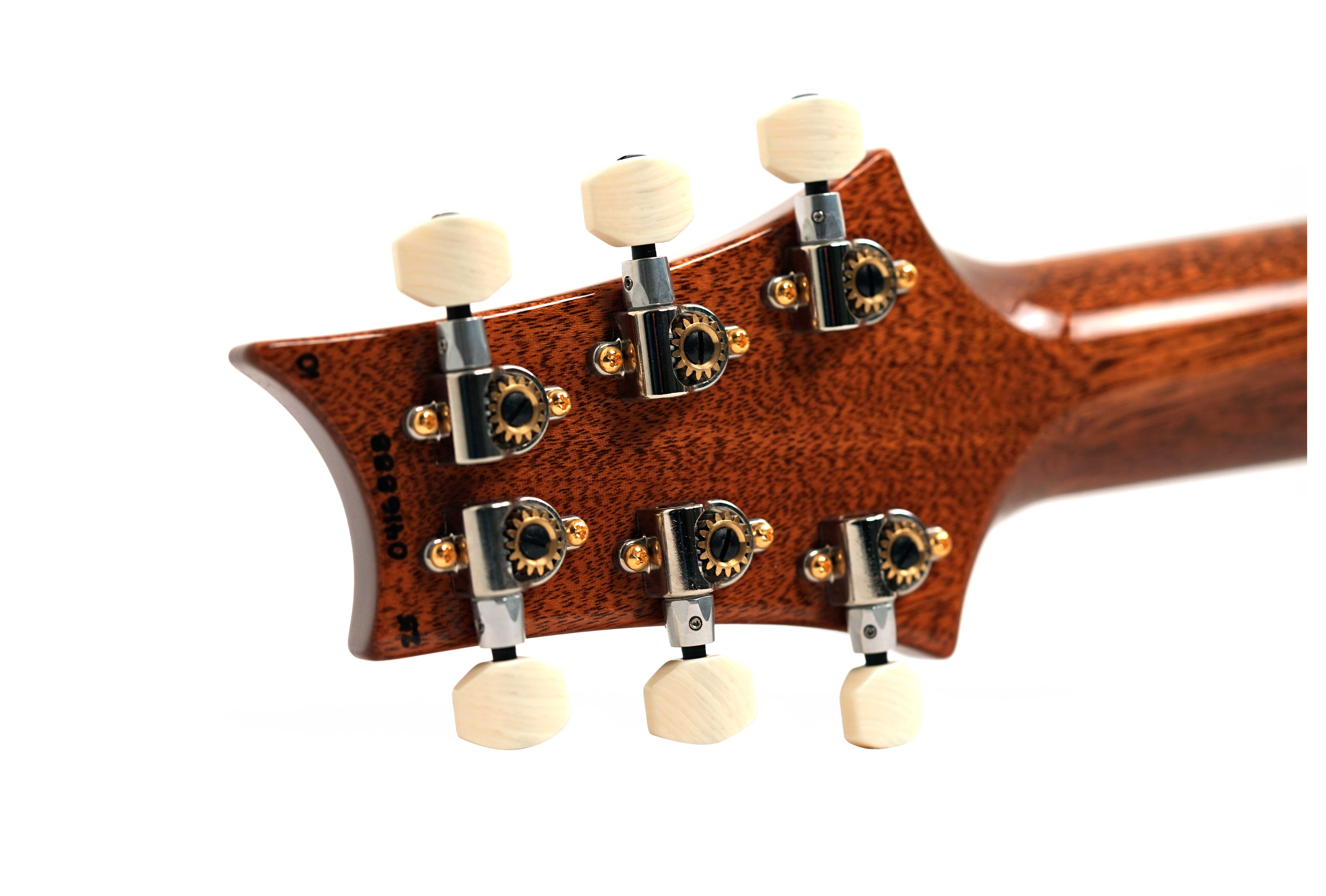 PRS DGT Birds 10 Top Tiger Eye #0416888